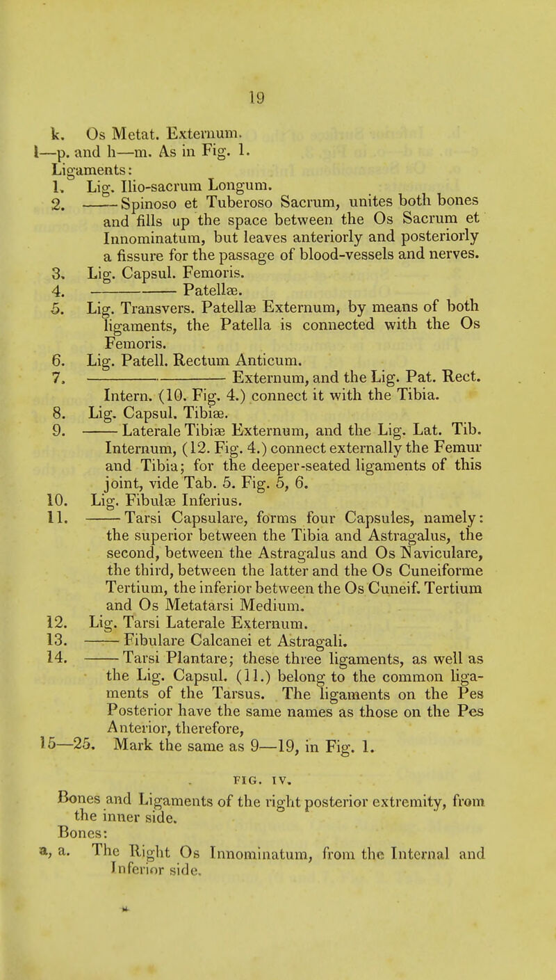 V. Os Metat. Externum. I—p. and h—m. As in Fig. 1. Ligaments: L Lig. Ilio-sacrum Longum. 2. Spinoso et Tuberoso Sacrum, unites both bones and fills up the space between the Os Sacrum et Innominatum, but leaves anteriorly and posteriorly a fissure for the passage of blood-vessels and nerves. 3. Lig. Capsul. Femoris. 4. Patellae. 5. Lig. Transvers. Patellae Externum, by means of both ligaments, the Patella is connected with the Os Femoris. 6. Lig. Patell. Rectum Anticum. 7. Externum, and the Lig. Pat. Rect. Intern. (10. Fig. 4.) connect it with the Tibia. 8. Lig. Capsul. Tibiae. 9. Laterale Tibiae Externum, and the Lig. Lat. Tib. Internum, (12. Fig. 4.) connect externally the Femur and Tibia; for the deeper-seated ligaments of this joint, vide Tab, 5. Fig. 5, 6. 10. Lig. Fibulae Inferius. 11. Tarsi Capsulare, forms four Capsules, namely: the superior between the Tibia and Astragalus, the second, between the Astragalus and Os INaviculare, the third, between the latter and the Os Cuneiforme Tertium, the inferior between the Os Cuneif. Tertium and Os Metatarsi Medium. 12. Lig. Tarsi Laterale Externum. 13. —— Fibulare Calcanei et Astragali. 14. Tarsi Plantare; these three ligaments, as well as the Lig. Capsul. (11.) belong to the common liga- ments of the Tarsus. The ligaments on the Pes Posterior have the same names as those on the Pes Anterior, therefore, 15—25. Mark the same as 9—19, in Fig. 1. FIG. IV. Bones and Ligaments of the right posterior extremity, from the inner side. Bones: a. The Right Os Innominatum, from the Internal and Inferior side. a