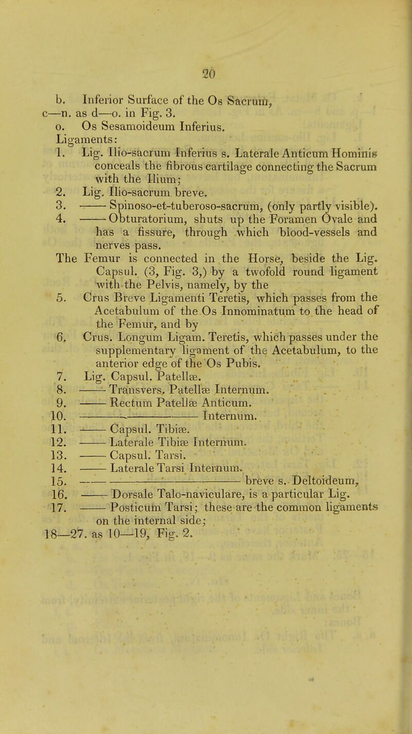 b. Inferior Surface of the Os Sacrum, c—n. as d—o. in Fig. 3. 0. Os Sesamoideum Inferius. Ligaments: 1. Lig. Ilio-sacrum fnferius s. Laterale AnticumHominis conceals the fibrous cartilage connecting the Sacrum with the Ilium; 2. Lig, Ilio-sacrum breve. 3. Spinoso-et-tuberoso-sacrum, (only partly visible). 4. Obturatorium, shuts up the Foramen Ovale and has a fissure, through vi^hich blood-vessels and nerves pass. The Femur is connected in the Horse, beside the Lig. Capsul. (3, Fig. 3,) by a twofold round ligament with the Pelvis, namely, by the 5. Crus Breve Ligamenti Teretis, which passes from the Acetabulum of the Os Innominatum to the head of the Femur, and by 6. Crus. Longum Ligam. Teretis, which passes under the supplementary ligament of the Acetabulum, to the anterior edge of the Os Pubis. 7. Lig. Capsul. Patellae. 8. ~ Transvers. Patellse Internum. 9. Rectum PatelJse Anticum. 10. .— — Internum. 11. Capsul. Tibise. 12. Laterale Tibiae Internum. 13. Capsul. Tarsi. • ' 14. Laterale Tarsi Internum. 15. '■ breve s. Deltoideum, 16. Dorsale Talo-naviculare, is a particular Lig. 17. Posticum Tarsi; these are the common ligaments on the internal side; 18—27. as 10—19, Fig. 2.