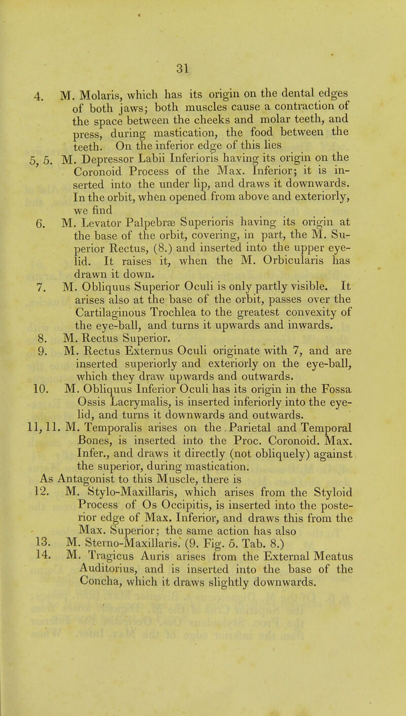4. M. Molaris, which has its origin on the dental edges of both jaws; both muscles cause a contraction of the space between the cheeks and molar teeth, and press, during mastication, the food between the teeth. On the inferior edge of this lies 5 5. M. Depressor Labii Inferioris having its origin on the Coronoid Process of the Max. Inferior; it is in- serted into the under lip, and draws it downwards. In the orbit, when opened from above and exteriorly, we find 6. M. Levator Palpebrae Saperioris having its origin at the base of the orbit, covering, in part, the M. Su- perior Rectus, (8.) and inserted into the upper eye- lid. It raises it, when the M. Orbicularis has drawn it down. 7. M. Obliquus Superior Oculi is only partly visible. It arises also at the base of the orbit, passes over the Cartilaginous Trochlea to the greatest convexity of the eye-ball, and turns it upwards and inwards. 8. M. Rectus Superior. 9. M. Rectus Externus Oculi originate with 7, and are inserted superiorly and exteriorly on the eye-ball, which they draw upwards and outwards. 10. M. Obliquus Inferior Oculi has its origin in the Fossa Ossis Lacrymalis, is inserted inferiorly into the eye- lid, and turns it downwards and outwards. 11,11. M. Temporahs arises on the.Parietal and Temporal Bones, is inserted into the Proc. Coronoid. Max. Infer., and draws it directly (not obliquely) against the superior, during mastication. As Antagonist to this Muscle, there is 12. M. Stylo-Maxillaris, which arises from the Styloid Process of Os Occipitis, is inserted into the poste- rior edge of Max. Inferior, and draws this from the Max. Superior; the same action has also 13. M. Sterno-Maxillaris. (9. Fig. 6. Tab. 8.) 14. M. Tragicus Auris arises from the External Meatus Auditorius, and is inserted into the base of the Concha, which it draws slightly downwards.