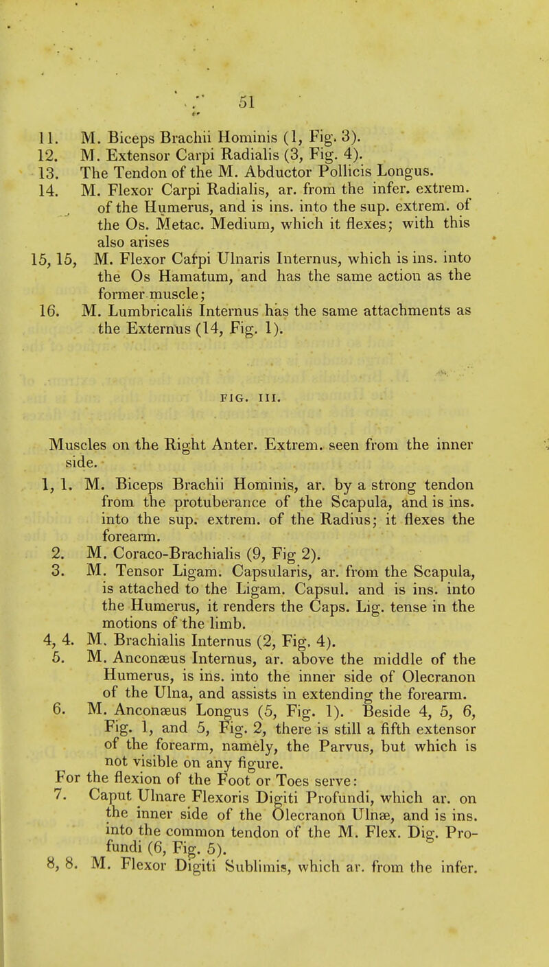 11. M. Biceps Brachii Hominis (1, Fig. 3). 12. M. Extensor Carpi Radialis (3, Fig. 4). 13. The Tendon of the M. Abductor PoUicis Longus. 14. M. Flexor Carpi Radialis, ar. from the infer, extrem. of the Humerus, and is ins. into the sup. extrem. of the Os. Metac. Medium, which it flexes; with this also arises 15, 15, M. Flexor Caf-pi Ulnaris Internus, which is ins. into the Os Hamatum, and has the same action as the foraier muscle; 16. M. Lumbricalis Internus has the same attachments as the Externus (14, Fig. 1). FIG. III. Muscles on the Right Anter. Extrem. seen from the inner side. 1, 1. M. Biceps Brachii Hominis, ar. by a strong tendon from the protuberance of the Scapula, and is ins. into the sup. extrem. of the Radius; it flexes the forearm. 2. M. Coraco-Brachiahs (9, Fig 2). 3. M. Tensor Ligam. Capsularis, ar. from the Scapula, is attached to the Ligam. Capsul. and is ins. into the Humerus, it renders the Caps. Lig. tense in the motions of the limb. 4, 4. M. Brachiahs Internus (2, Fig. 4). 6. M. Anconseus Internus, ar. above the middle of the Humerus, is ins. into the inner side of Olecranon of the Ulna, and assists in extending the forearm. 6. M. Anconaeus Longus (5, Fig. 1). Beside 4, 5, 6, Fig. 1, and 5, Fig. 2, there is still a fifth extensor of the forearm, namely, the Parvus, but which is not visible on any figure. For the flexion of the Foot or Toes serve: 7. Caput Ulnare Flexoris Digiti Profundi, which ar. on the inner side of the Olecranon Ulnae, and is ins. into the common tendon of the M. Flex. Dig. Pro- fundi (6, Fig. 5). 8, 8. M. Flexor Digiti Sublimis, which ar. from the infer. 1
