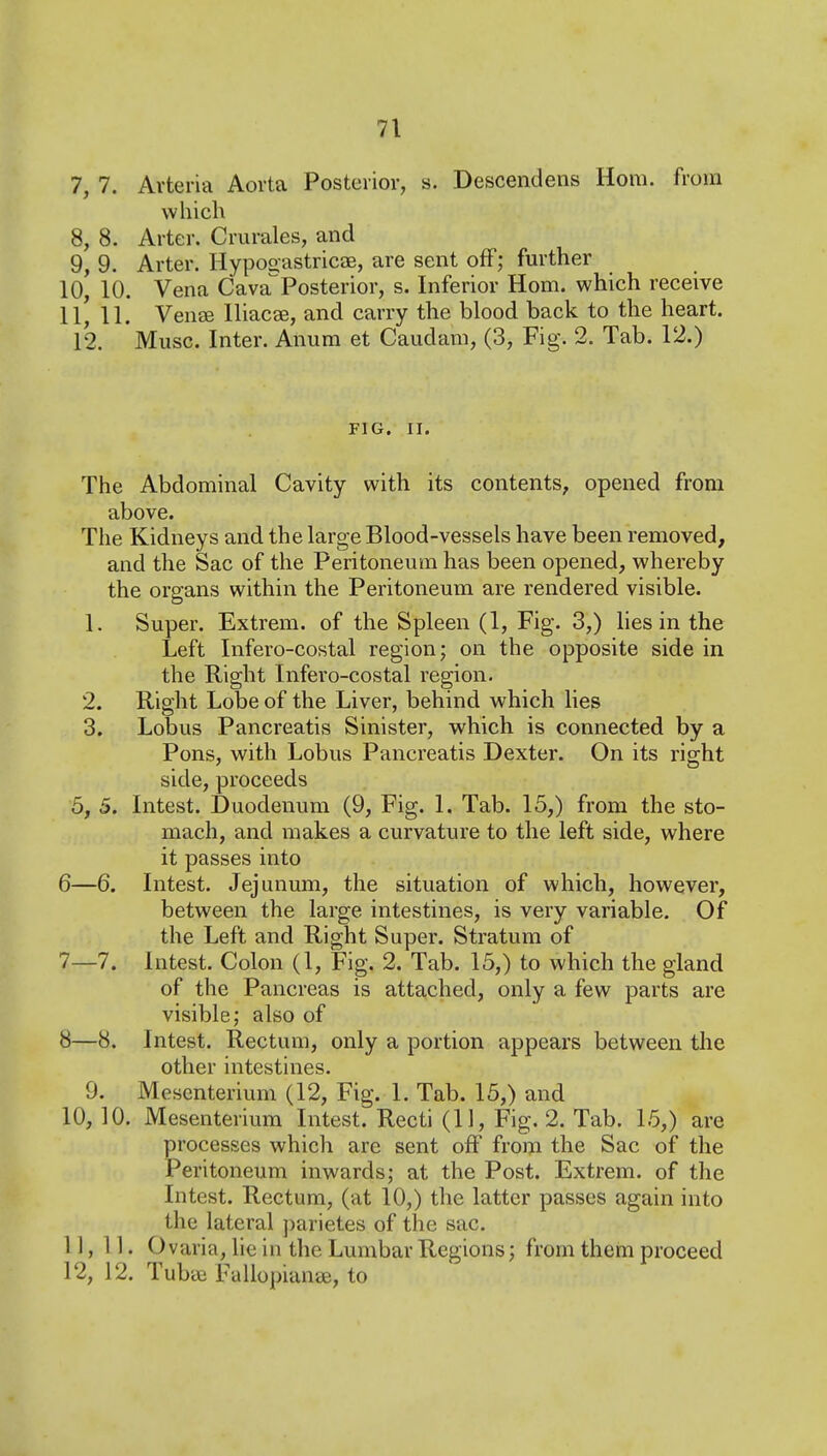 7, 7. Avteria Aorta Posterior, s. Descendeiis Horn, from which 8, 8. Arter. Crurales, and 9, 9. Arter. Hypooastricte, are sent off; further 10, 10. Vena Cava^ Posterior, s. Inferior Horn, which receive 11^ 11. Vense Iliacse, and carry the blood back to the heart. 12. Muse. Inter. Anum et Caudani, (3, Fig. 2. Tab. 12.) FIG. II. The Abdominal Cavity with its contents, opened from above. The Kidneys and the large Blood-vessels have been removed, and the Sac of the Peritoneum has been opened, whereby the organs within the Peritoneum are rendered visible. 1. Super. Extrem. of the Spleen (1, Fig. 3,) lies in the Left Infero-costal region; on the opposite side in the Right Infero-costal region. 2. Right Lobe of the Liver, behind which lies 3. Lobus Pancreatis Sinister, which is connected by a Pons, with Lobus Pancreatis Dexter. On its right side, proceeds 5, 5. Intest. Duodenum (9, Fig. 1. Tab. 15,) from the sto- mach, and makes a curvature to the left side, where it passes into 6— 6. Intest. Jejunum, the situation of which, however, between the large intestines, is very variable. Of the Left and Right Super. Stratum of 7— 7. Intest. Colon (1, Fig. 2. Tab. 15,) to which the gland of the Pancreas is attached, only a few parts are visible; also of 8— 8. Intest. Rectum, only a portion appears between tlie other intestines. 9. Mescnterium (12, Fig. 1. Tab. 15,) and 10, 10. Mesenterium Intest. Recti (11, Fig. 2. Tab. 15,) are processes which are sent off from the Sac of the Peritoneum inwards; at the Post. Extrem. of the Intest. Rectum, (at 10,) the latter passes again into the lateral ])arietes of the sac. 11, 11. O varia, lie in the Lumbar Regions; from them proceed 12, 12. TubcE Fallopianse, to