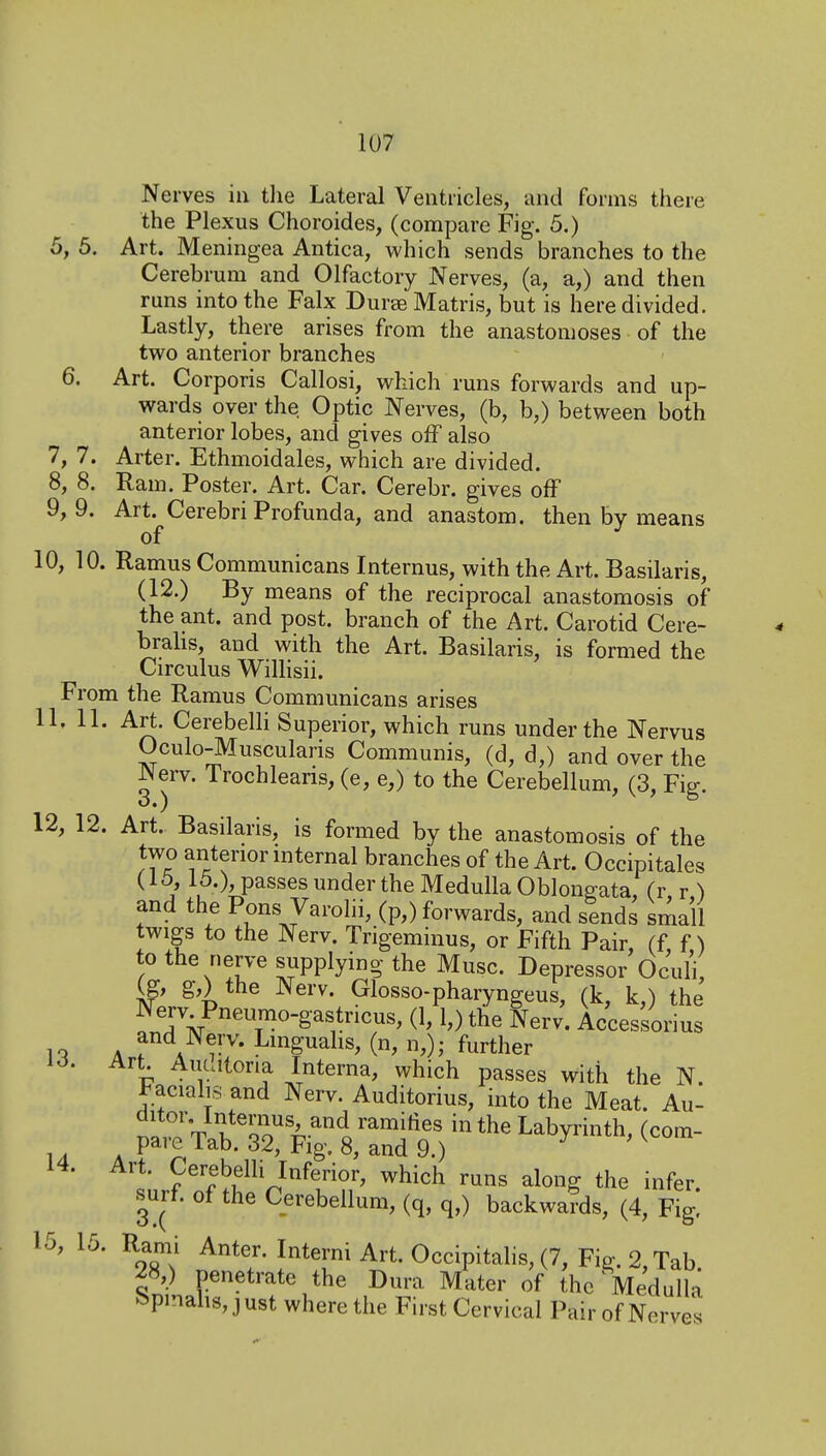 Nerves iii tlie Lateral Ventricles, and forms there the Plexus Choroides, (compare Fig. 5.) 5, 5. Art. Meningea Antica, which sends branches to the Cerebrum and Olfactory Nerves, (a, a,) and then runs into the Falx Durae Matris, but is here divided. Lastly, there arises from the anastomoses of the two anterior branches 6. Art. Corporis Callosi, which runs forwards and up- wards over the Optic Nerves, (b, b,) between both anterior lobes, and gives off also 7, 7. Arter. Ethmoidals, which are divided. 8, 8. Ram. Poster. Art. Car. Cerebr. gives off 9, 9. Art. Cerebri Profunda, and anastom. then by means of 10, 10. Ramus Communicans Internus, with the Art. Basilaris, (12.) By means of the reciprocal anastomosis of the ant. and post, branch of the Art. Carotid Cere- brahs, and with the Art. Basilaris, is formed the Circulus Willisii. From the Ramus Communicans arises 11, 11. Art. Cerebelli Superior, which runs under the Nervus Oculo-^uscularis Communis, (d, d,) and over the Nerv. Trochlearis, (e, e,) to the Cerebellum, (3, Fig. 12, 12. Art. Basilaris, is formed by the anastomosis of the two anterior internal branches of the Art. Occipitales (15, 15.), passes under the Medulla Oblongata, (r r ) and the Pons Varolii, (p,) forwards, and sends small twigs to the Nerv. Trigeminus, or Fifth Pair, (f, f) to the nerve supplying the Muse. Depressor Oculi {g, g,) the Nerv. Glosso-pharyngeus, (k, k,) the Nerv Pneumo-gastricus, (1,1,) the Nerv. Accessorius ici A f^'^^^P'- Linguahs, (n, n,); further IJ. Art Auuitona Interna, which passes with the N. l^.acialis and Nerv. Auditorius, into the Meat. Au- ditor. Internus and ramifies in the Labyrinth, (com- 14 A P^''5,Tab. 32, Fig. 8, and 9.) y ,K n 14. Art. Cerebelli Inferior, which runs along the infer surt. of the Cerebellum, (q, q,) backwards, (4, Fig! 15, 15. Rami Anter. Interni Art. Occipitahs, (7, Fig. 2, Tab. ^8,) penetrate the Dura Mater of the Medulla i^pi'ialis, just where the First Cervical Pair of Nerves