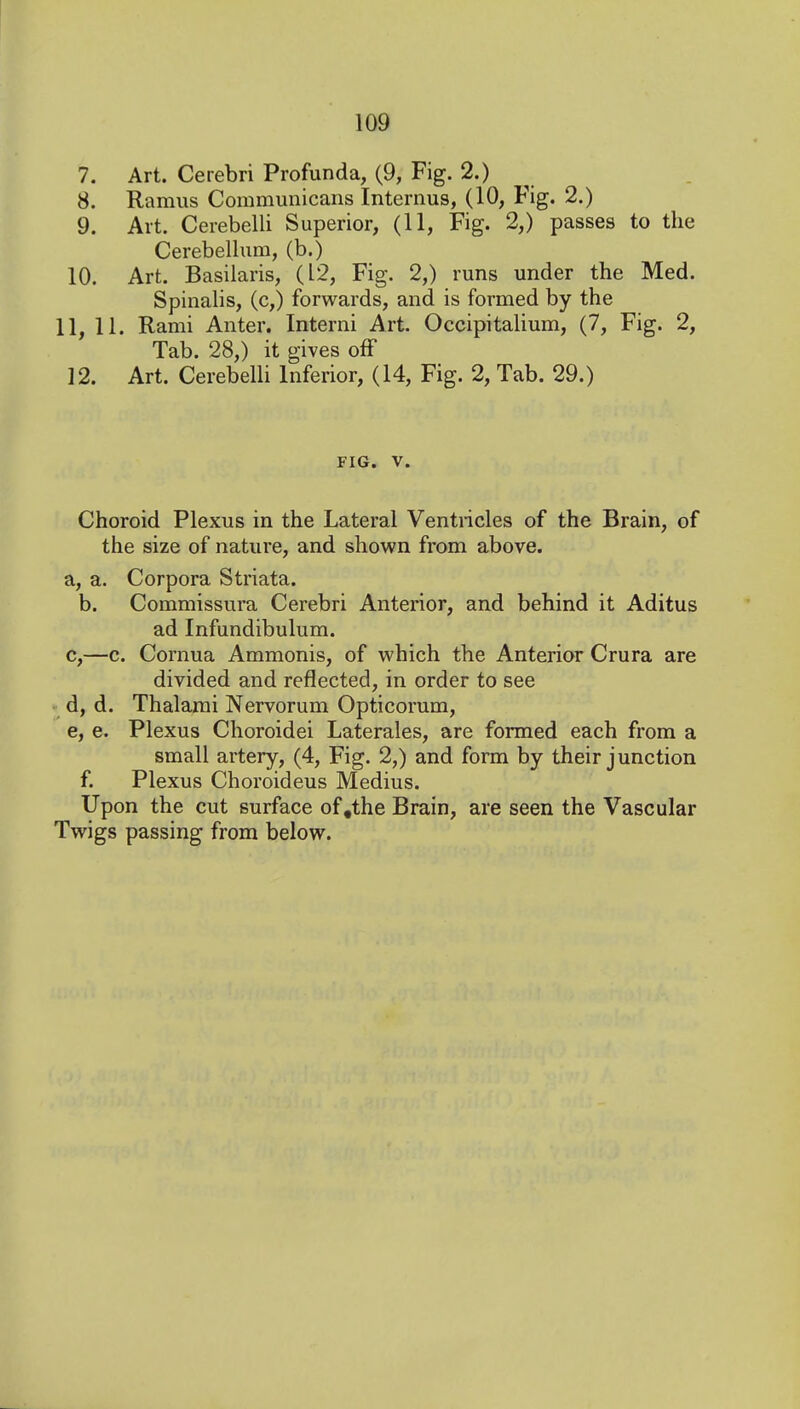 7. Art. Cerebri Profunda, (9, Fig. 2.) 8. Ramus Communicans Internus, (10, Fig. 2.) 9. Art. Cerebelli Superior, (11, Fig. 2,) passes to the Cerebellum, (b.) 10. Art. Basilaris, (12, Fig. 2,) runs under the Med. Spinalis, (c,) forwards, and is formed by the 11, 11. Rami Anter. Interni Art. Occipitalium, (7, Fig. 2, Tab. 28,) it gives off 12. Art. Cerebelli Inferior, (14, Fig. 2, Tab. 29.) FIG. V. Choroid Plexus in the Lateral Ventricles of the Brain, of the size of nature, and shown from above. a, a. Corpora Striata, b. Commissura Cerebri Anterior, and behind it Aditus ad Infundibulum. c,—c. Cornua Ammonis, of which the Anterior Crura are divided and reflected, in order to see •■ d, d. Thalarai Nervorum Opticorum, e, e. Plexus Choroidei Laterales, are formed each from a small artery, (4, Fig. 2,) and form by their junction f. Plexus Choroideus Medius. Upon the cut surface of,the Brain, are seen the Vascular Twigs passing from below.