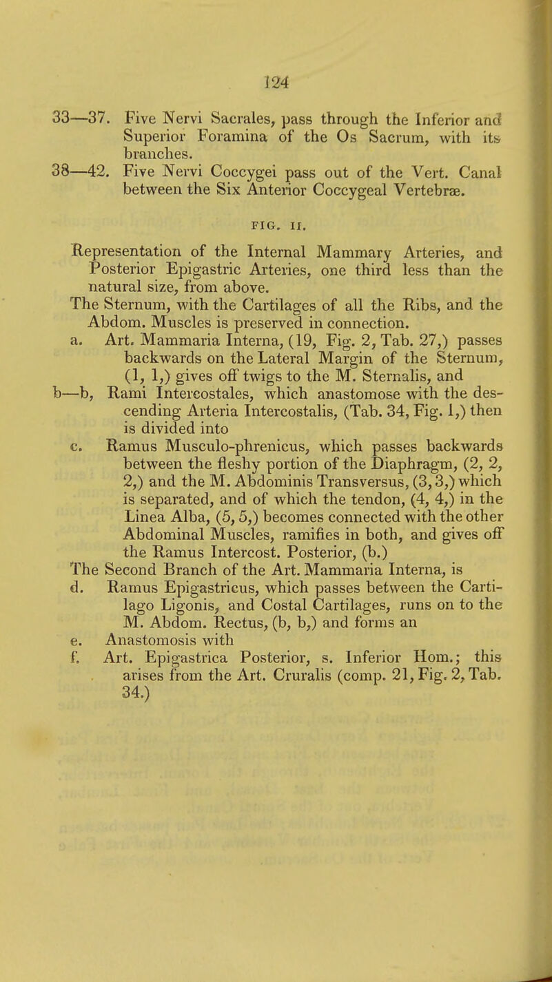 33—37. Five Nervi Sacrales, pass through the Inferior and Superior Foramina of the Os Sacrum, with it& branches. 38—42. Five Nervi Coccygei pass out of the Vert. Canal between the Six Anterior Coccygeal Vertebrae. FIG. ir. Representation of the Internal Mammary Arteries, and Posterior Epigastric Arteries, one third less than the natural size, from above. The Sternum, with the Cartilages of all the Ribs, and the Abdom. Muscles is preserved in connection, a. Art. Mammaria Interna, (19, Fig. 2, Tab. 27,) passes backwards on the Lateral Margin of the Sternum, (1, 1,) gives off twigs to the M. Sternalis, and b—b, Rami Intercostales, which anastomose with the des- cending Arteria Intercostalis, (Tab. 34, Fig. 1,) then is divided into c. Ramus Musculo-phrenicus, which passes backwards between the fleshy portion of the Diaphragm, (2, 2, 2,) and the M. Abdominis Transversus, (3,3,) which is separated, and of which the tendon, (4, 4,) in the Linea Alba, (5,5,) becomes connected with the other Abdominal Muscles, ramifies in both, and gives off the Ramus Intercost. Posterior, (b.) The Second Branch of the Art. Mammaria Interna, is d. Ramus Epigastricus, which passes between the Carti- lago Ligonis, and Costal Cartilages, runs on to the M. Abdom. Rectus, (b, b,) and forms an e. Anastomosis with f. Art. Epigastrica Posterior, s. Inferior Hom.; this arises from the Art. Cruralis (comp. 21, Fig. 2, Tab. 34.)