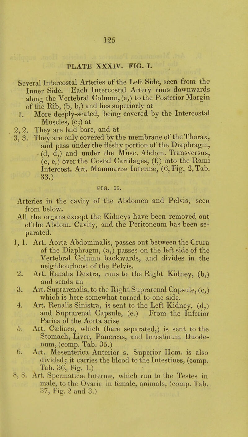 PLATE XXXIV. FIG. I. Several Intercostal Arteries of the Left Side, seen from the Inner Side. Each Intercostal Artery runs downv^ards along the Vertebral Column, (a,) to the Posterior Margin of the Rib, (b, b,) and lies superiorly at 1. More deeply-seated, being covered by the Intercostal Muscles, (c;) at . 2,2. They are laid i)are, and at 3, 3. They are only covered by the membrane of the Thorax, and pass under the fleshy portion of the Diaphragm, - (d, d,) and under the Muse. Abdom. Transversus, (e, e,) over the Costal Cartilages, (f,) into the Rami Intercost. Art. Mammarise Internee, (6, Fig. 2, Tab. 33.) FIG. II. Arteries in the cavity of the Abdomen and Pelvis, seen from below. All the organs except the Kidneys have been removed out of the Abdom. Cavity, and the Peritoneum has been se- parated. 1,1. Art. Aorta Abdominalis, passes out between the Crura of the Diaphragm, (a,) passes on the left side of the Vertebral Column backwards, and divides in the neighbourhood of the Pelvis. 2. Art. Renalis Dextra, runs to the Right Kidney, (b,) and sends an 3. Art. Suprarenalis, to the Right Suprarenal Capsule, (c,) which is here somewhat turned to one side. 4. Art. Renalis Sinistra, is sent to the Left Kidney, (d,) and Suprarenal Capsule, (e.) From the Inferior Paries of the Aorta arise 5. Art. Caeliaca, which (here separated,) is sent to the Stomach, Liver, Pancreas, and Intestinum Duode- num, (comp. Tab. 35.) 6. Art. Mesenterica Anterior s. Superior Horn, is also divided; it carries the blood to the Intestines, (comp. Tab. 36, Fig. 1.) 8, 8. Art. Spermaticae Internee, which run to the Testes in male, to the Ovaria in female, animals, (corap. Ttib. 37, Fig. 2 and 3.)
