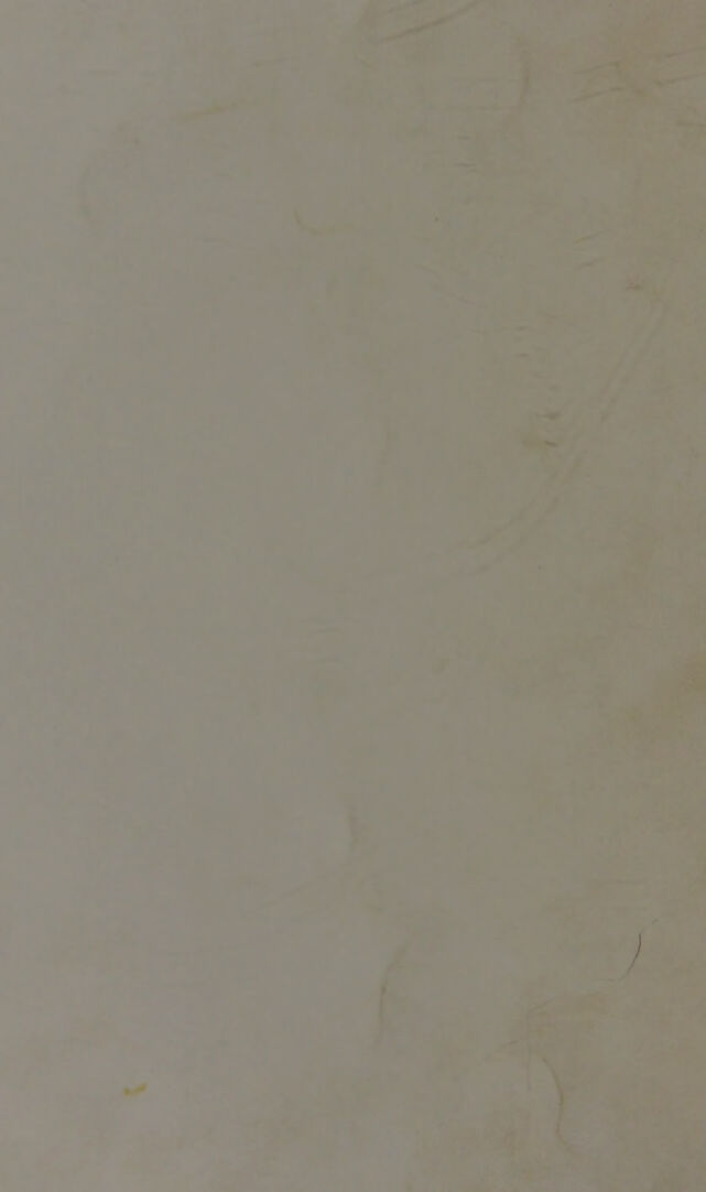digitised image 2