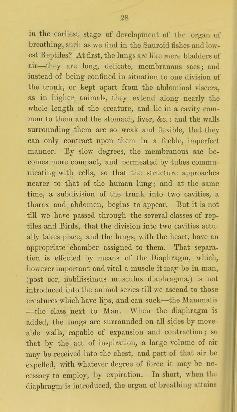 iu the earliest stage of dcveloptiient of the organ of breathings such as we find in the Sauroid fishes andloAv- est Reptiles? At first, the lungs are like mere bladders of air—they are long, delicate, membranous sacs; and instead of being confined in situation to one division of the trunk, or kept apart from the abdominal viscera, as in higher animals, they extend along nearly the whole length of the creature, and lie in a cavity com- mon to them and the stomach, liver, &c.: and the walls surrounding them are so weak and flexible, that they can only contract upon them in a feeble, imperfect manner. By slow degrees, the membranous sac be- comes more compact, and permeated by tubes commu- nicating with cells, so that the structure approaches nearer to that of the human lung; and at the same time, a subdivision of the trunk into two cavities, a thorax and abdomen, begins to appear. But it is not till we have passed through the several classes of rep- tiles and Birds, that the division into two cavities actu- ally takes place, and the lungs, with the heart, have an appropriate chamber assigned to them. That separa- tion is efi'ected by means of the Diaphragm, which, however important and vital a muscle it may be in man, (post cor, nobilissimus musculus diaphragma,) is not introduced into the animal series till we ascend to those creatures which have lips, and can suck—the Mammalia —the class next to Man. When the diaphragm is added, the lungs are surrounded on all sides by move- able walls, capable of expansion and contraction; so that by the act of inspiration, a large volume of air may be received into the chest, and part of that air be expelled, with whatever degree of force it may be ne- cessary to employ, by expiration. In short, Avhen the diaphragm is introduced, the organ of breathing attains