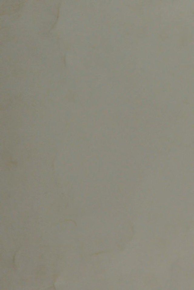 digitised image 1