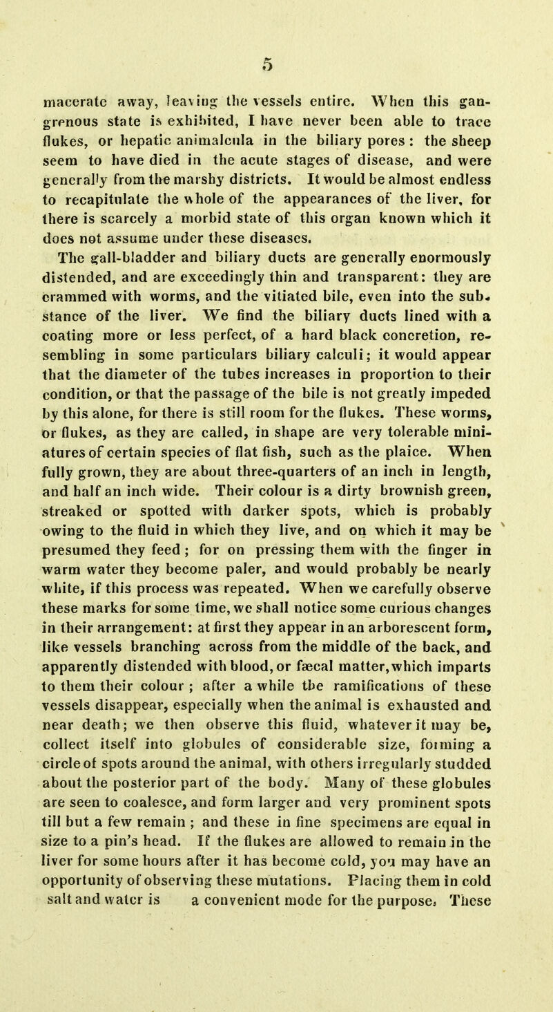 macerate away, leaving; the vessels entire. When this gan- grenous state is exhibited, I have never been able to trace flukes, or hepatic animalcula in the biliary pores : the sheep seem to have died in the acute stages of disease, and were generally from the marshy districts. It would be almost endless to recapitulate the whole of the appearances of the liver, for there is scarcely a morbid state of this organ known which it does not assume under these diseases. The gall-bladder and biliary ducts are generally enormously distended, and are exceedingly thin and transparent: they are crammed with worms, and the vitiated bile, even into the sub- stance of the liver. We find the biliary ducts lined with a coating more or less perfect, of a hard black concretion, re- sembling in some particulars biliary calculi; it would appear that the diameter of the tubes increases in proportion to their condition, or that the passage of the bile is not greatly impeded by this alone, for there is still room for the flukes. These worms, or flukes, as they are called, in shape are very tolerable mini- atures of certain species of flat fish, such as the plaice. When fully grown, they are about three-quarters of an inch in length, and half an inch wide. Their colour is a dirty brownish green, streaked or spotted with darker spots, which is probably owing to the fluid in which they live, and ori which it may be presumed they feed; for on pressing them with the finger in warm water they become paler, and would probably be nearly white, if this process was repeated. When we carefully observe these marks for some time, we shall notice some curious changes in their arrangement: at first they appear in an arborescent form, like vessels branching across from the middle of the back, and apparently distended with blood, or faecal matter,which imparts to them their colour ; after a while the ramifications of these vessels disappear, especially when the animal is exhausted and near death; we then observe this fluid, whatever it may be, collect itself into globules of considerable size, forming a circle of spots around the animal, with others irregularly studded about the posterior part of the body. Many of these globules are seen to coalesce, and form larger and very prominent spots till but a few remain ; and these in fine specimens are equal in size to a pin's head. If the flukes are allowed to remain in the liver for some hours after it has become cold, you may have an opportunity of observing tisese mutations. Placing them in cold salt and water is a convenient mode for the purposoi These