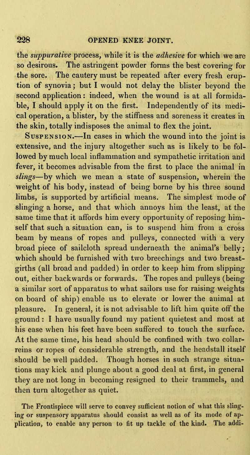 the suppurative process, while it is the adhesive for which we are so desirous. The astringent powder forms the best covering for the sore. The cautery must be repeated after every fresh erup- tion of synovia; but I would not delay the blister beyond the second application: indeed, when the wound is at all formida- ble, I should apply it on the first. Independently of its medi- cal operation, a blister, by the stiffness and soreness it creates in the skin, totally indisposes the animal to flex the joint. Suspension.—In cases in which the wound into the joint is extensive, and the injury altogether such as is likely to be fol- lowed by much local inflammation and sympathetic irritation and fever, it becomes advisable from the first to place the animal in slings—by Vv'hich we mean a state of suspension, wherein the weight of his body, instead of being borne by his three sound limbs, is supported by artificial means. The simplest mode of slinging a horse, and that which annoys him the least, at the same time that it affords him every opportunity of reposing him- self that such a situation can, is to suspend him from a cross beam by means of ropes and pulleys, connected with a very broad piece of sailcloth spread underneath the animaFs belly; which should be furnished with two breechings and two breast- girths (all broad and padded) in order to keep him from slipping out, either backwards or forwards. The ropes and pulleys (being a similar sort of apparatus to what sailors use for raising weights on board of ship) enable us to elevate or lower the animal at pleasure. In general, it is not advisable to lift him quite off the ground : I have usually found my patient quietest and most at his ease when his feet have been suffered to touch the surface. At the same time, his head should be confined with two collar- reins or ropes of considerable strength, and the headstall itself should be well padded. Though horses in such strange situa- tions may kick and plunge about a good deal at first, in general they are not long in becoming resigned to their trammels, and then turn altogether as quiet. The Frontispiece will serve to convey sufficient notion of what this sling- ing or suspensory apparatus should consist as well as of its mode of ap- plication, to enable any person to fit up tackle of the kind. The addi-