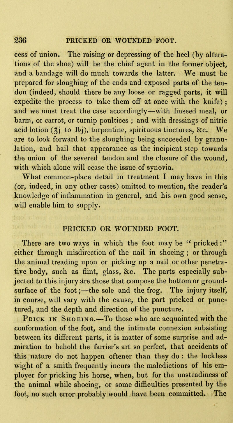 cess of union. The raising or depressing of the heel (by altera- tions of the shoe) will be the chief agent in the former object, and a bandage will do much towards the latter. We must be prepared for sloughing of the ends and exposed parts of the ten- don (indeed, should there be any loose or ragged parts, it will expedite the process to take them off at once with the knife) ; and we must treat the case accordingly—with linseed meal, or barm, or carrot, or turnip poultices ; and with dressings of nitric acid lotion (Jj to Tbj), turpentine, spirituous tinctures, &c. We are to look forward to the sloughing being succeeded by granu- lation, and hail that appearance as the incipient step towards the union of the severed tendon and the closure of the wound, with which alone will cease the issue of synovia. What common-place detail in treatment I may have in this (or, indeed, in any other cases) omitted to mention, the reader's knowledge of inflammation in general, and his own good sense, will enable him to supply. PRICKED OR WOUNDED FOOT. There are two ways in which the foot maybe '^pricked: either through misdirection of the nail in shoeing; or through the animal treading upon or picking up a nail or other penetra- tive body, such as flint, glass, &c. The parts especially sub- jected to this injury are those that compose the bottom or ground- surface of the foot;—the sole and the frog. The injury itself, in course, will vary with the cause, the part pricked or punc- tured, and the depth and direction of the puncture. Prick in Shoeing.—To those who are acquainted with the conformation of the foot, and the intimate connexion subsisting between its different parts, it is matter of some surprise and ad- miration to behold the farrier's art so perfect, that accidents of this nature do not happen oftener than they do : the luckless wight of a smith frequently incurs the maledictions of his em- ployer for pricking his horse, when, but for the unsteadiness of the animal while shoeing, or some difficulties presented by the foot, no such error probably would have been committed. The