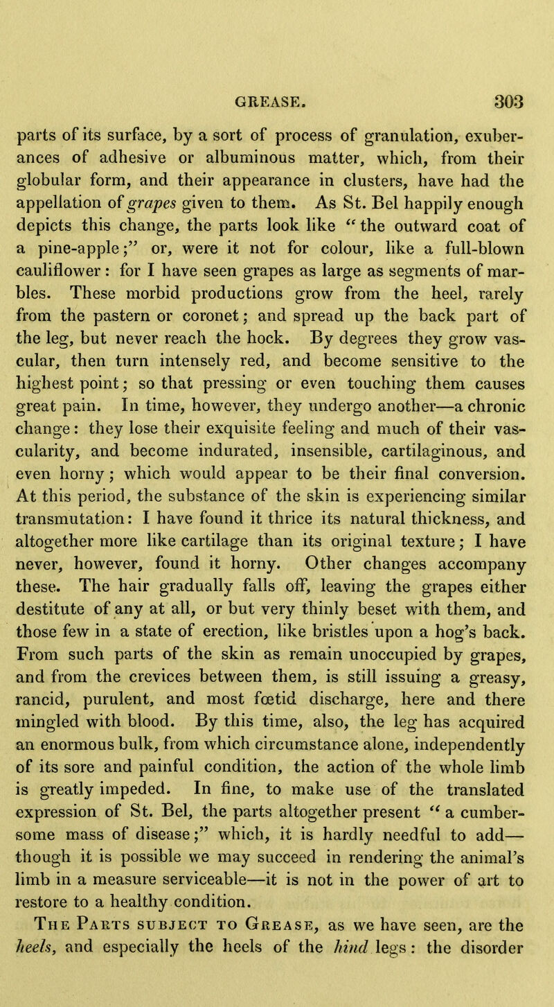 parts of its surface, by a sort of process of granulation, exuber- ances of adhesive or albuminous matter, which, from their globular form, and their appearance in clusters, have had the appellation of grapes given to them. As St. Bel happily enough depicts this change, the parts look like the outward coat of a pine-appleor, were it not for colour, hke a full-blown cauliflower: for I have seen grapes as large as segments of mar- bles. These morbid productions grow from the heel, rarely from the pastern or coronet; and spread up the back part of the leg, but never reach the hock. By degrees they grow vas- cular, then turn intensely red, and become sensitive to the highest point; so that pressing or even touching them causes great pain. In time, however, they undergo another—a chronic change: they lose their exquisite feeling and much of their vas- cularity, and become indurated, insensible, cartilaginous, and even horny; which would appear to be their final conversion. At this period, the substance of the skin is experiencing similar transmutation: I have found it thrice its natural thickness, and altogether more Hke cartilage than its original texture; I have never, however, found it horny. Other changes accompany these. The hair gradually falls off, leaving the grapes either destitute of any at all, or but very thinly beset with them, and those few in a state of erection, like bristles upon a hog's back. From such parts of the skin as remain unoccupied by grapes, and from the crevices between them, is still issuing a greasy, rancid, purulent, and most foetid discharge, here and there mingled with blood. By this time, also, the leg has acquired an enormous bulk, from which circumstance alone, independently of its sore and painful condition, the action of the whole limb is greatly impeded. In fine, to make use of the translated expression of St. Bel, the parts altogether present a cumber- some mass of disease; which, it is hardly needful to add— though it is possible we may succeed in rendering the animal's limb in a measure serviceable—it is not in the power of art to restore to a healthy condition. The Parts subject to Grease, as we have seen, are the heels, and especially the heels of the hind legs: the disorder