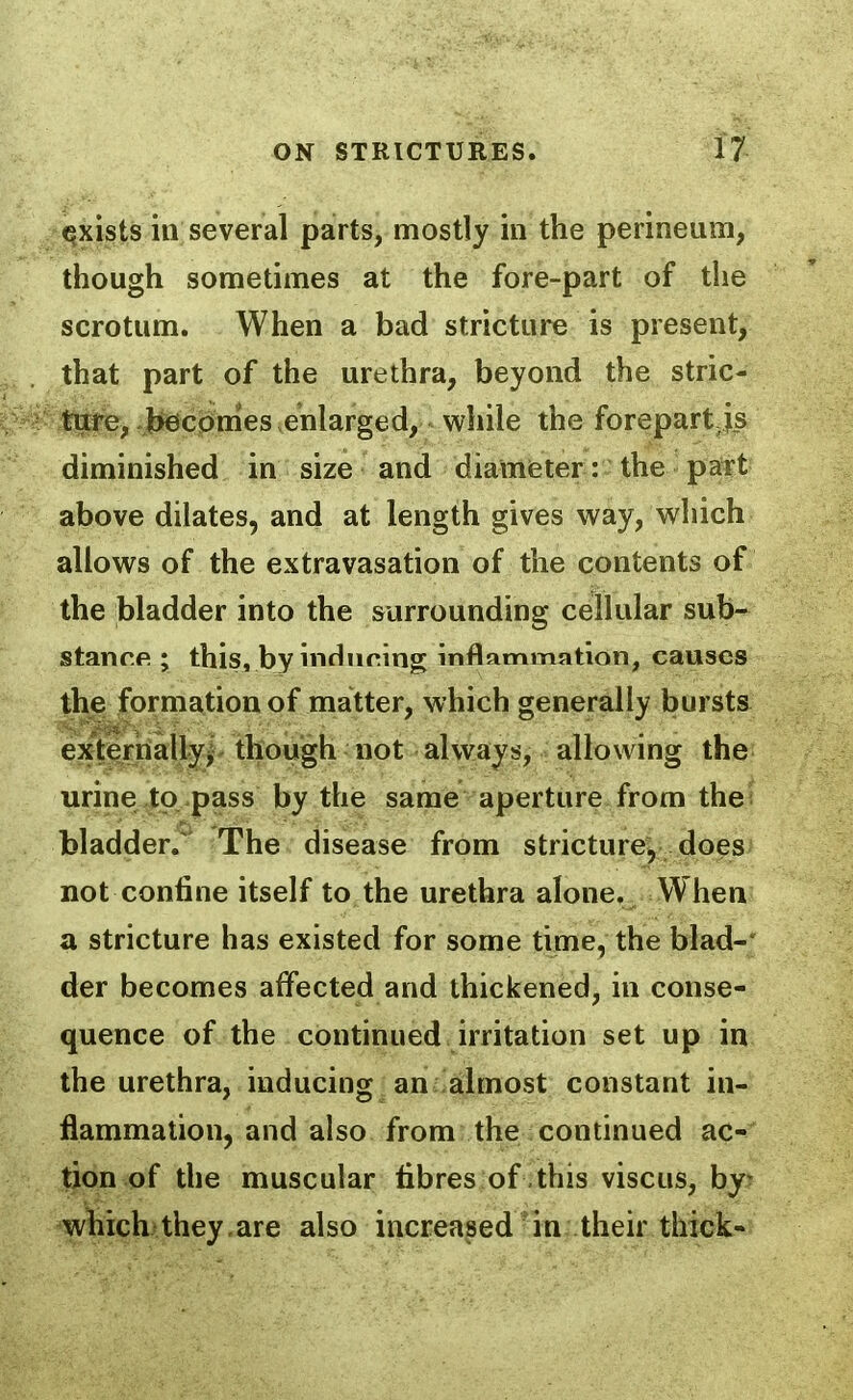 <?xists in several parts, mostly in the perineum, though sometimes at the fore-part of the scrotum. When a bad stricture is present, that part of the urethra, beyond the stric- ture, ]>€Scomes enlarged, while the forepart^^s diminished in size and diamfeter: the part above dilates, and at length gives way, which allows of the extravasation of the contents of the bladder into the surrounding cellular sub- stancfi ; this, by inducing inflammation, causes the formation of matter, which generally bursts externally^ though not always, allowing the urine to pass by the same aperture from the bladder. The disease from stricture, does not confine itself to the urethra alone. When a stricture has existed for some time, the blad- der becomes affected and thickened, in conse- quence of the continued irritation set up in the urethra, inducing an almost constant in- flammation, and also from the continued ac- tion of the muscular fibres of this viscus, by which they,are also increased in their thick-