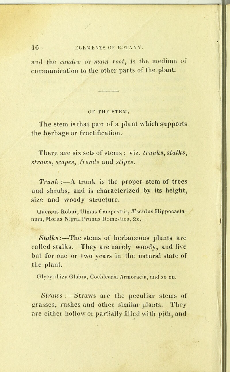 and the caudex or main root, is the medium of communication to the other parts of the plant. OF THE STEM. The stem is that part of a plant which supports the herbage or fructification. There are six sets of stems ; viz. tninks, &talks, straws, scapes, fronds and stipes. Trunk :—A trunk is the proper stem of trees and shrubs, and is characterized by its height, size and woody structure. Quercus Robur, Ulmus Campestris, tEscuIus Hippocasta- num, Moras Nigra, Primus D:)mestica, &c. Stalks:—The stems of herbaceous plants are called stalks. They are rarely woody, and live but for one or two years in the natural state of the plant. Glycyrrliiza Glabra, Cochlearia Armoracia, and so on. Straws .-—Straws are the peculiar stems of grasses, rushes and other similar jjants. They are either hollow or partially filled with pith^ and