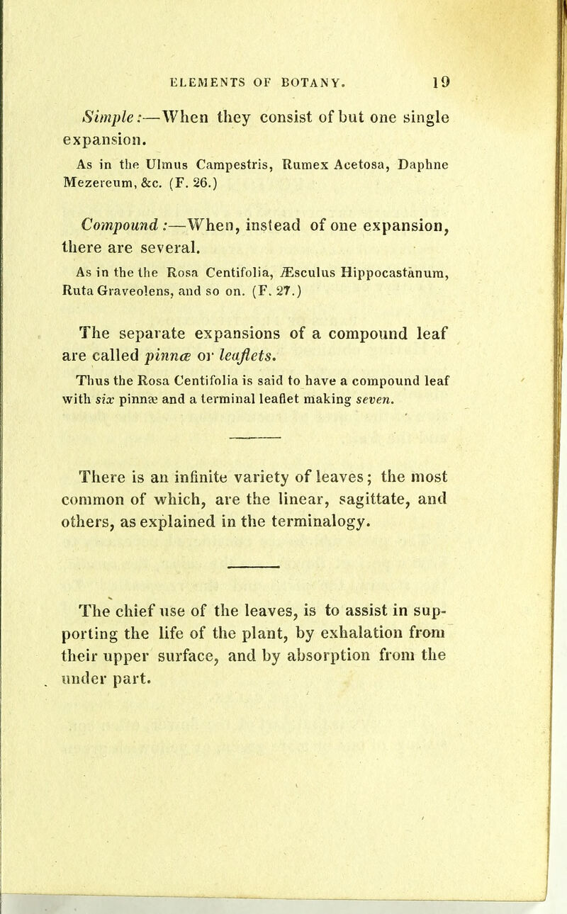 Simple:—When they consist of but one single expansion. As in the Ulmus Campestris, Ramex Acetosa, Daphne Mezei-eum, &c. (F. 26.) Compound :—When, instead of one expansion, there are several. As in the the Rosa Centifolia, jEscuIus Hippocastanura, Ruta Graveolens, and so on. (F. 27.) The separate expansions of a compound leaf are called pinna or leaflets. Thus the Rosa Centifolia is said to have a compound leaf with six pinnse and a terminal leaflet making seven. There is an infinite variety of leaves; the most common of which, are the linear, sagittate, and others, as explained in the terminalogy. The chief use of the leaves, is to assist in sup- porting the life of the plant, by exhalation from their upper surface, and by absorption from the under part.