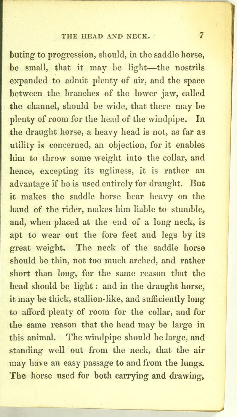 buting to progression, should, in the saddle horse, be small, that it may be light—the nostrils expanded to admit plenty of air, and the space between the branches of the lower jaw, called the channel, should be wide, that there may be plenty of room for the head of the windpipe. In the draught horse, a heavy head is not, as far as utility is concerned, an objection, for it enables liim to throw some weight into the collar, and hence, excepting its ugliness, it is rather an advantage if he is used entirely for draught. But it makes the saddle horse bear heavy on the hand of the rider, makes him liable to stumble, and, when placed at the end of a long neck, is apt to wear out the fore feet and legs by its great weight. The neck of the saddle horse should be thin, not too much arched, and rather short than long, for the same reason that the head should be light: and in the draught horse, it may be thick, stallion-like, and sufficiently long to afford plenty of room for the collar, and for the same reason that the head may be large in this animal. The windpipe should be large, and standing well out from the neck, that the air may have an easy passage to and from the lungs. The horse used for both carrying and drawing,