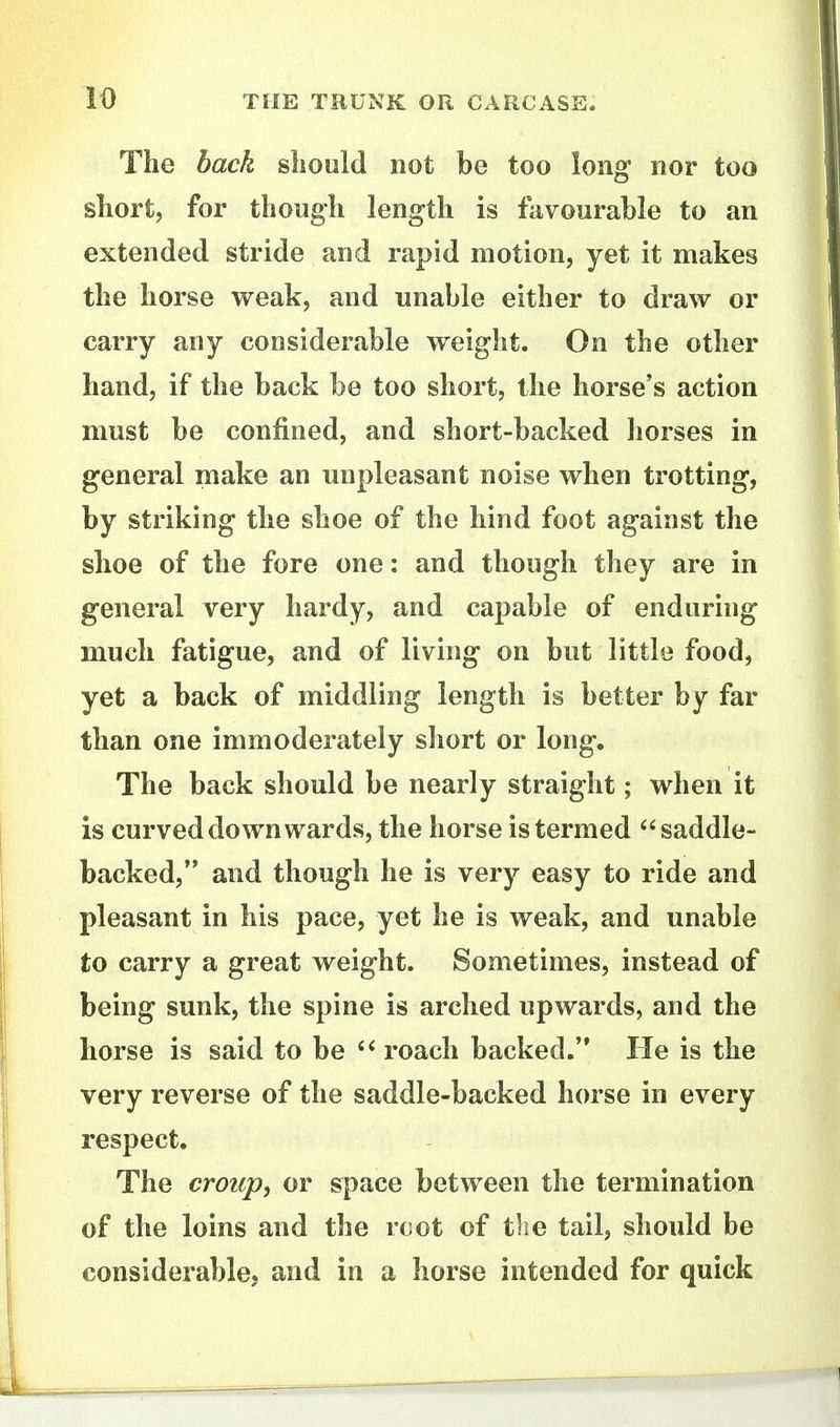 The back should not be too long nor too short, for though length is favourable to an extended stride and rapid motion, yet it makes the horse weak, and unable either to draw or carry any considerable weight. On the other hand, if the back be too short, the horse's action must be confined, and short-backed horses in general make an unpleasant noise when trotting, by striking the shoe of the hind foot against the shoe of the fore one: and though they are in general very hardy, and capable of enduring much fatigue, and of living on but little food, yet a back of middling length is better by far than one immoderately sliort or long. The back should be nearly straight; when it is curved downwards, the horse is termed saddle- backed, and though he is very easy to ride and pleasant in his pace, yet he is weak, and unable to carry a great weight. Sometimes, instead of being sunk, the spine is arched upwards, and the horse is said to be  roach backed. He is the very reverse of the saddle-backed horse in every respect. The croup, or space between the termination of the loins and the rcot of tlie tail, should be considerable, and in a horse intended for quick