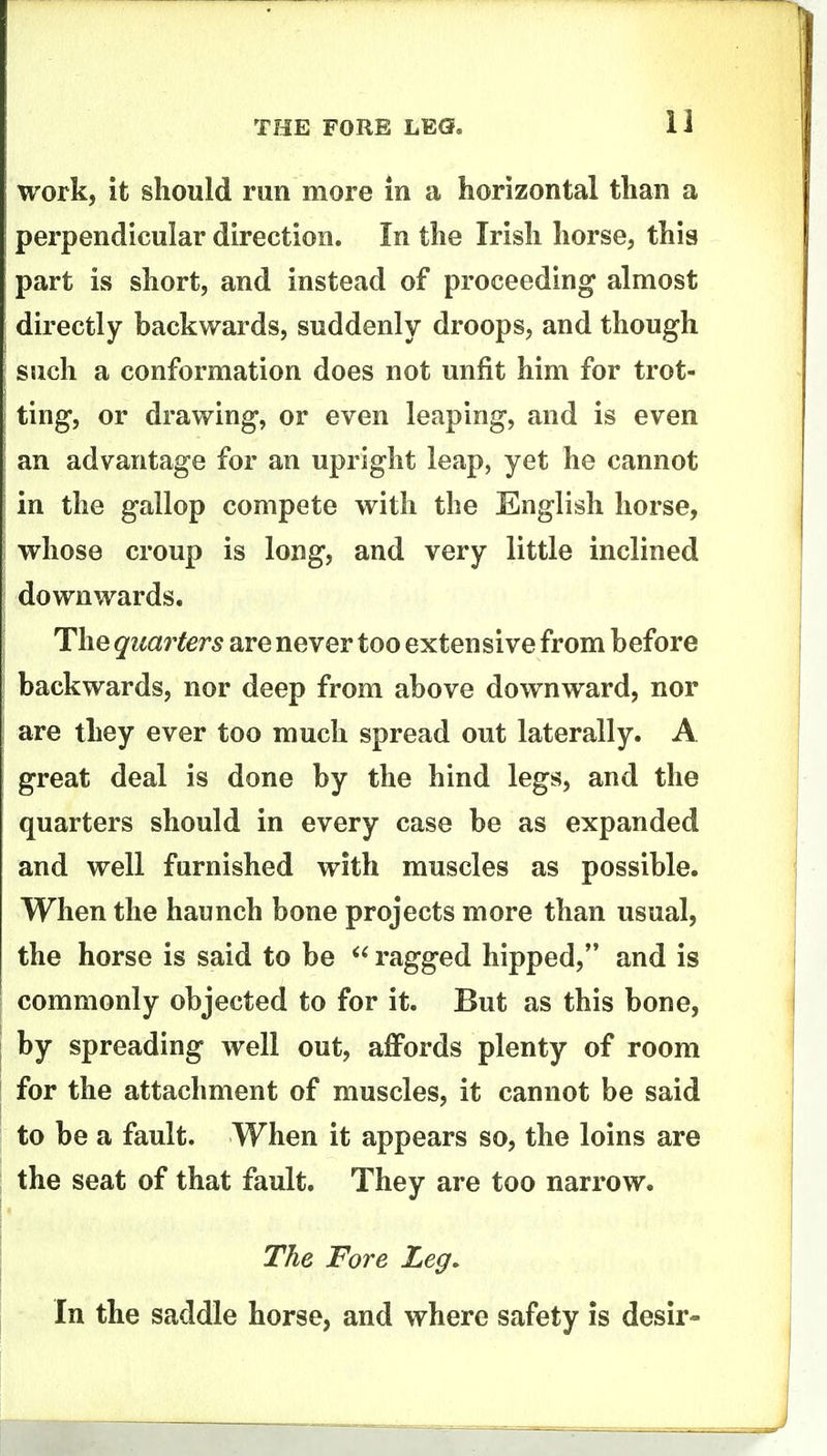 work, it should run more in a horizontal than a perpendicular direction. In the Irish horse, this part is short, and instead of proceeding almost directly backwards, suddenly droops, and though such a conformation does not unfit him for trot- ting, or drawing, or even leaping, and is even an advantage for an upright leap, yet he cannot in the gallop compete with the English horse, whose croup is long, and very little inclined downwards. The quarters are never too extensive from before backwards, nor deep from above downward, nor are they ever too much spread out laterally. A great deal is done by the hind legs, and the quarters should in every case be as expanded and well furnished with muscles as possible. When the haunch bone projects more than usual, the horse is said to be ragged hipped, and is commonly objected to for it. But as this bone, by spreading well out, affords plenty of room for the attachment of muscles, it cannot be said to be a fault. When it appears so, the loins are the seat of that fault. They are too narrow. The Fore Leg, In the saddle horse, and where safety is desir-