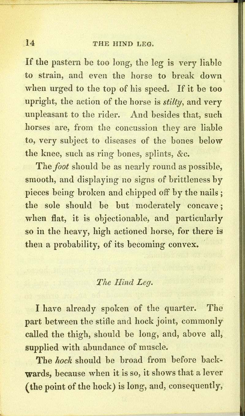 If the pastern be too long, tlie leg is very liable to strain, and even tlie horse to break down when urged to the top of his speed. If it be too upright, the action of the horse is stilty, and very- unpleasant to the rider. And besides that, such horses are, from the concussion they are liable to, very subject to diseases of the bones below the knee, such as ring bones, splints, &c. The foot should be as nearly round as possible, smooth, and displaying no signs of brittleness by pieces being broken and chipped oW by the nails ; the sole should be but moderately concave; when fiat, it is objectionable, and particularly so in the heavy, high actioned horse, for there is then a probability, of its becoming convex. The Hind Leg. I have already spoken of the quarter. The part between the stifle and hock joint, commonly called the thigh, should be long, and, above all, supplied with abundance of muscle. The hock should be broad from before back- wards, because when it is so, it shows that a lever (the point of the hock) is long, and, consequently,