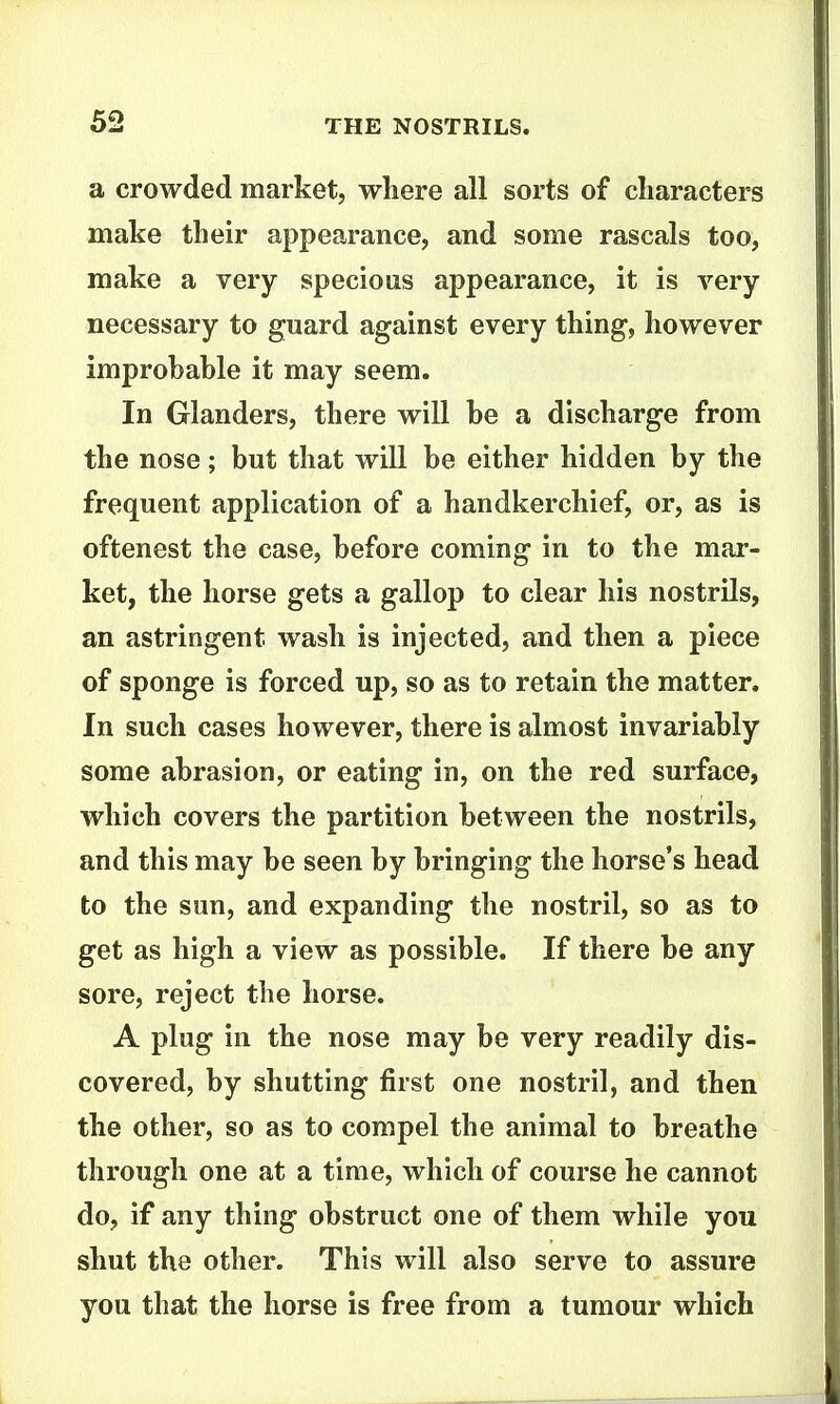 a crowded market, where all sorts of characters make their appearance, and some rascals too, make a very specious appearance, it is very- necessary to guard against every thing, however improbable it may seem. In Glanders, there will be a discharge from the nose; but that will be either hidden by the frequent application of a handkerchief, or, as is oftenest the case, before coming in to the mar- ket, the horse gets a gallop to clear his nostrils, an astringent wash is injected, and then a piece of sponge is forced up, so as to retain the matter. In such cases however, there is almost invariably some abrasion, or eating in, on the red surface, which covers the partition between the nostrils, and this may be seen by bringing the horse's head to the sun, and expanding the nostril, so as to get as high a view as possible. If there be any sore, reject the horse. A plug in the nose may be very readily dis- covered, by shutting first one nostril, and then the other, so as to compel the animal to breathe through one at a time, which of course he cannot do, if any thing obstruct one of them while you shut the other. This will also serve to assure you that the horse is free from a tumour which