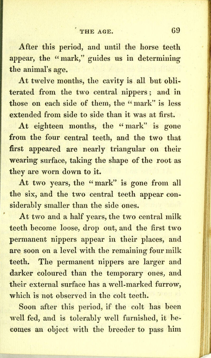 After this period, and until the horse teeth appear, the ''mark, guides us in determining the animal's age. At twelve months, the cavity is all but obli- terated from the two central nippers; and in those on each side of them, the '' mark is less extended from side to side than it was at first. At eighteen months, the '* mark is gone from the four central teeth, and the two that first appeared are nearly triangular on their wearing surface, taking the shape of the root as they are worn down to it. At two years, the mark is gone from all the six, and the two central teeth appear con- siderably smaller than the side ones. At two and a half years, the two central milk teeth become loose, drop out, and the first two permanent nippers appear in their places, and are soon on a level with the remaining four milk teeth. The permanent nippers are larger and darker coloured than the temporary ones^ and their external surface has a well-marked furrow, which is not observed in the colt teeth. Soon after this period, if the colt has been well fed, and is tolerably well furnished, it be- comes an object with the breeder to pass him