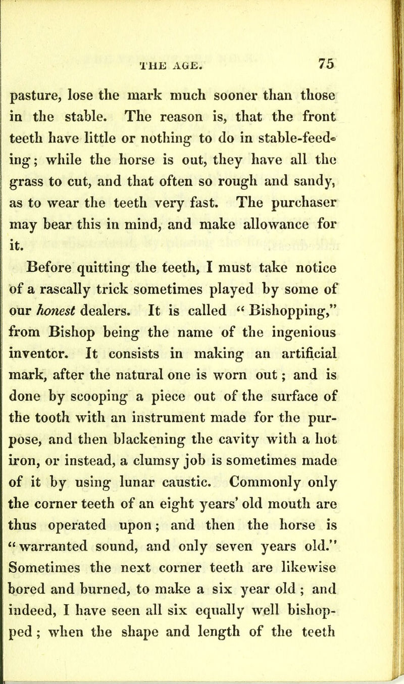 pasture, lose the mark much sooner than those in the stable. The reason is, that the front teeth have little or nothing to do in stable-feed* ing; while the horse is out, they have all the grass to cut, and that often so rough and sandy, as to wear the teeth very fast. The purchaser may bear this in mind, and make allowance for it. Before quitting the teeth, I must take notice of a rascally trick sometimes played by some of our holiest dealers. It is called Bishopping, from Bishop being the name of the ingenious inventor. It consists in making an artificial mark, after the natural one is worn out; and is done by scooping a piece out of the surface of the tooth with an instrument made for the pur- pose, and then blackening the cavity with a hot iron, or instead, a clumsy job is sometimes made of it by using lunar caustic. Commonly only the comer teeth of an eight years' old mouth are thus operated upon; and then the horse is warranted sound, and only seven years old. Sometimes the next corner teeth are likewise bored and burned, to make a six year old ; and indeed, I have seen all six equally well bishop- ped; when the shape and length of the teeth