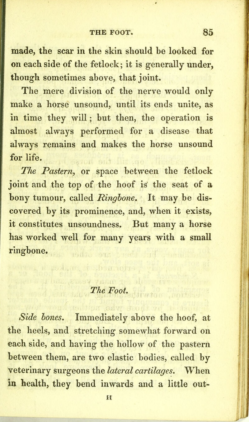 made, the scar in the skin should he looked for on each side of the fetlock; it is generally under, though sometimes above, that joint. The mere division of the nerve would only- make a horse unsound, until its ends unite, as in time they will; hut then, the operation is almost always performed for a disease that always remains and makes the horse unsound for life. The Pastern^ or space between the fetlock joint and the top of the hoof is the seat of a bony tumour, called Ringbone. It may be dis- covered by its prominence, and, when it exists, it constitutes unsoundness. But many a horse has worked well for many years with a small ringbone. The Foot, Side bones. Immediately above the hoof, at the heels, and stretching somewhat forward on each side, and having the hollow of the pastern between them, are two elastic bodies, called by veterinary surgeons the lateral cartilages. When In health, they bend inwards and a little out- H