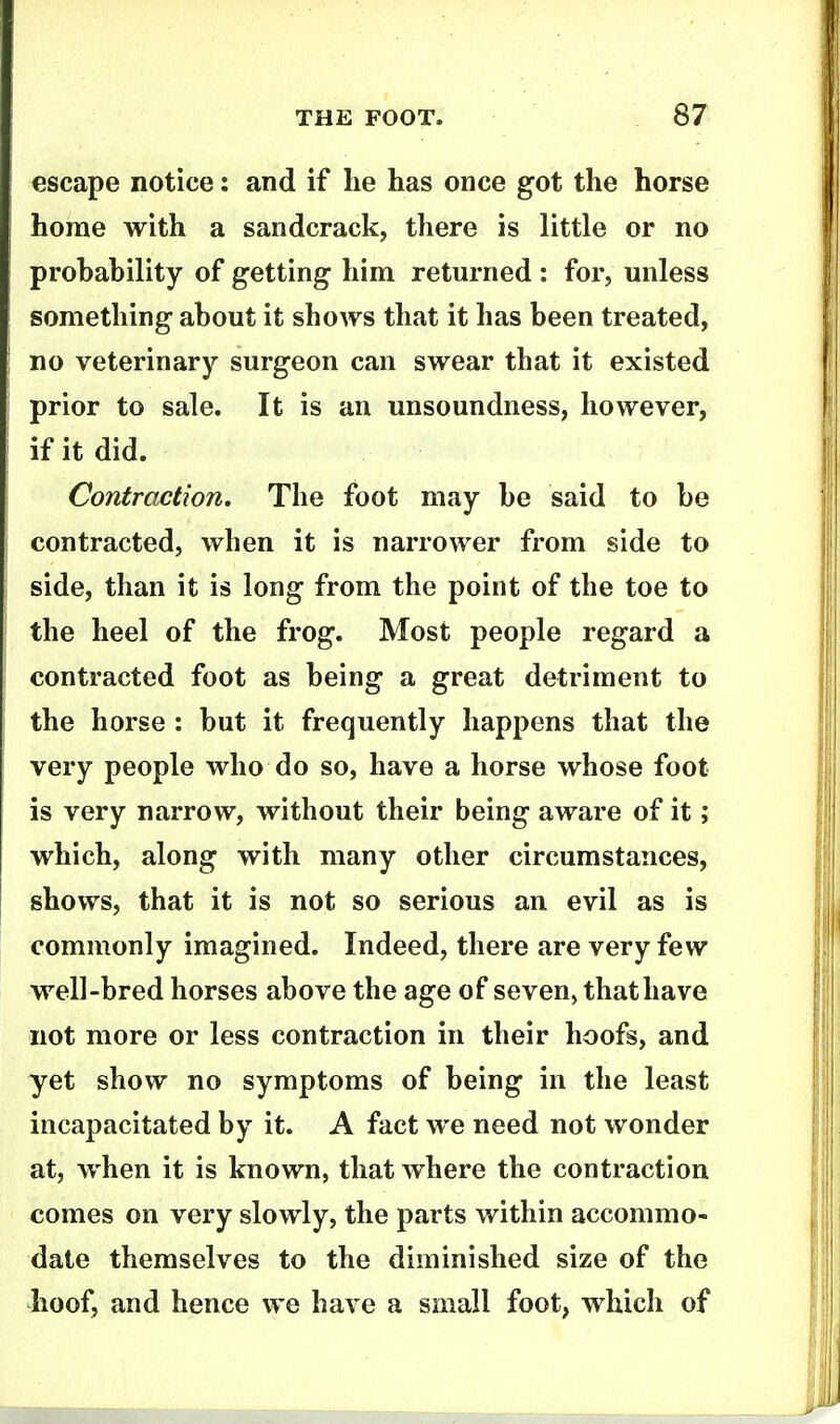 escape notice: and if he has once got the horse home with a sandcrack, there is little or no prohahility of getting him returned : for, unless something ahout it shows that it has been treated, no veterinary surgeon can swear that it existed prior to sale. It is an unsoundness, however, if it did. Contraction, The foot may he said to be contracted, when it is narrower from side to side, than it is long from the point of the toe to the heel of the frog. Most people regard a contracted foot as being a great detriment to the horse : but it frequently happens that the very people who do so, have a horse whose foot is very narrow, without their being aware of it; which, along with many other circumstances, shows, that it is not so serious an evil as is commonly imagined. Indeed, there are very few well-bred horses above the age of seven, that have not more or less contraction in their hoofs, and yet show no symptoms of being in the least incapacitated by it. A fact we need not wonder at, Avhen it is known, that where the contraction comes on very slowly, the parts within accommo- date themselves to the diminished size of the hoof, and hence we have a small foot, which of