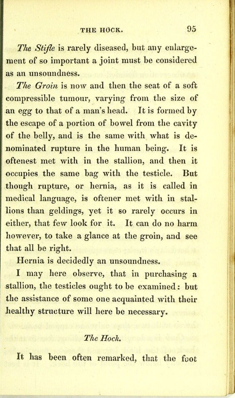 Tim Stifle is rarely diseased, but any enlarge- ment oF so important a joint must be considered as an unsoundness. The Groin is now and then tbe seat of a soft compressible tumour, varying from the size of an egg to that of a man's head. It is formed by the escape of a portion of bowel from the cavity of the belly, and is the same with what is de- nominated rupture in the human being. It is oftenest met with in the stallion, and then it occupies the same bag with the testicle. But though rupture, or hernia, as it is called in medical language, is oftener met with in stal- lions than geldings, yet it so rarely occurs in either, that few look for it. It can do no harm however, to take a glance at the groin, and see that all be right. Hernia is decidedly an unsoundness. I may here observe, that in purchasing a stallion, the testicles ought to be examined: but the assistance of some one acquainted with their healthy structure will here be necessary. The Hock. It has been often remarked, that the foot