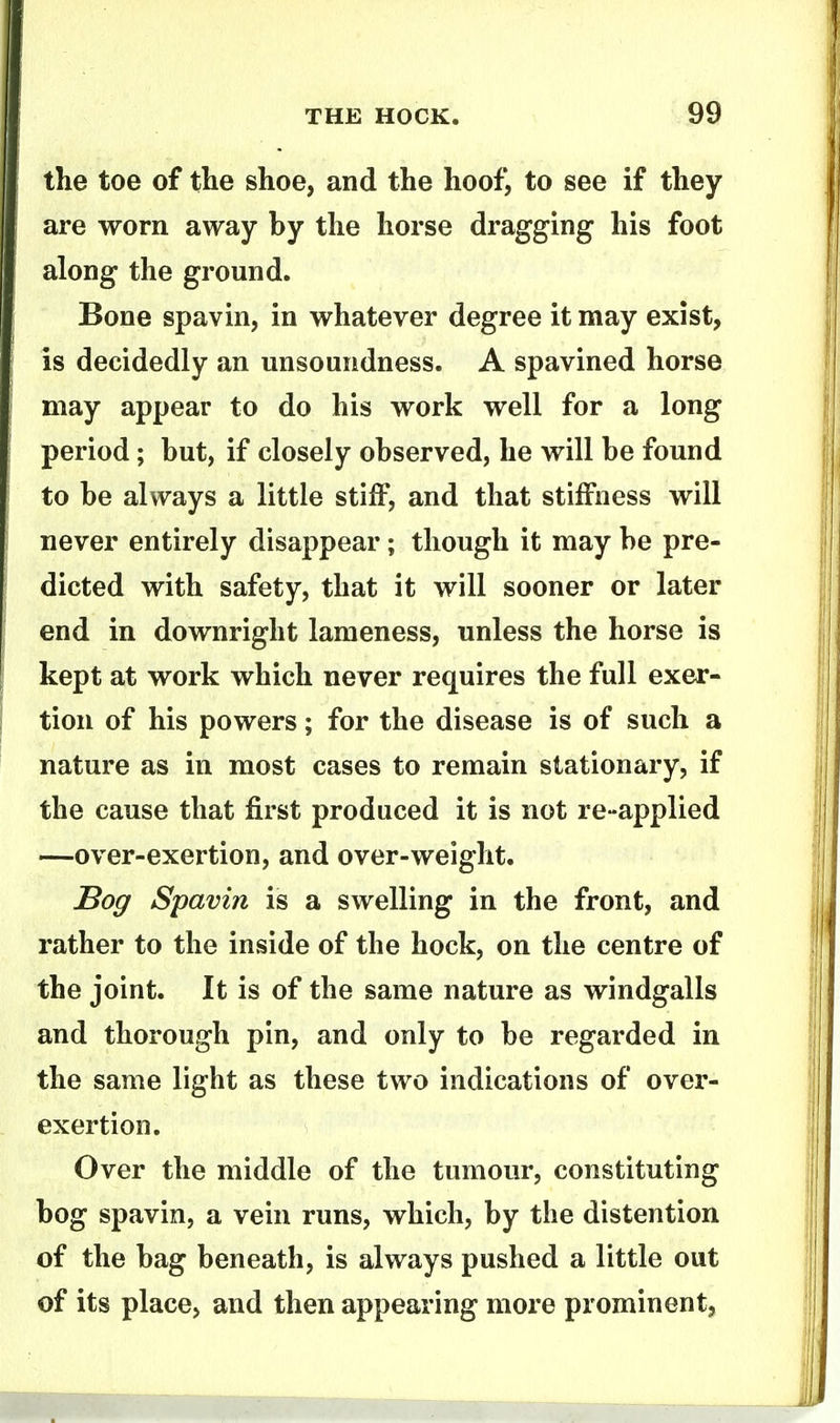 the toe of tlie shoe, and the hoof, to see if they are worn away by the horse dragging his foot along the ground. Bone spavin, in whatever degree it may exist, is decidedly an unsoundness. A spavined horse may appear to do his work well for a long period; but, if closely observed, he will be found to be always a little stiff, and that stiffness will never entirely disappear; though it may be pre- dicted with safety, that it will sooner or later end in downright lameness, unless the horse is kept at work which never requires the full exer- tion of his powers; for the disease is of such a nature as in most cases to remain stationary, if the cause that first produced it is not re-applied —over-exertion, and over-weight. Bog Spavin is a swelling in the front, and rather to the inside of the hock, on the centre of the joint. It is of the same nature as windgalls and thorough pin, and only to be regarded in the same light as these two indications of over- exertion. Over the middle of the tumour, constituting bog spavin, a vein runs, which, by the distention of the bag beneath, is always pushed a little out of its place, and then appearing more prominent,
