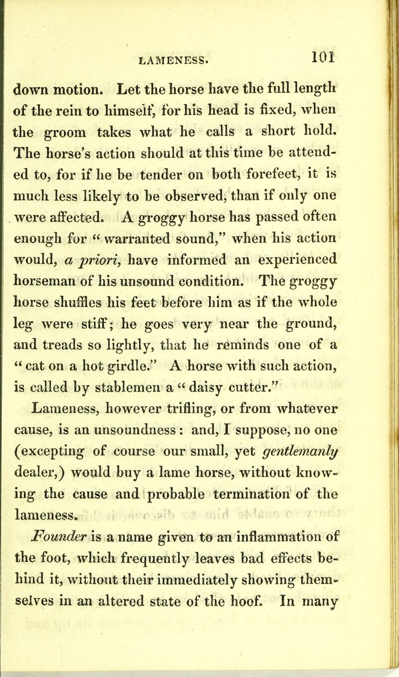 down motion. Let the horse have the full length of the rein to himself, for his head is fixed, when the groom takes what he calls a short hold. The horse's action should at this time he attend- ed to, for if he he tender on both forefeet, it is much less likely to he observed, than if only one were affected. A groggy horse has passed often enough for  warranted sound, when his action would, a priori, have informed an experienced horseman of his unsound condition. The groggy horse shuffles his feet before him as if the whole leg were stiff; he goes very near the ground, and treads so lightly, that he reminds one of a  cat on a hot girdle. A horse with such action, is called by stablemen a  daisy cutter. Lameness, however trifling, or from whatever cause, is an unsoundness : and, I suppose, no one (excepting of course our small, yet gentlemanly dealer,) would buy a lame horse, without know- ing the cause and probable termination of the lameness. Founder is a name given to an inflammation of the foot, which frequently leaves bad effects be- hind it, without their immediately showing them- selves in an altered state of the hoof. In many