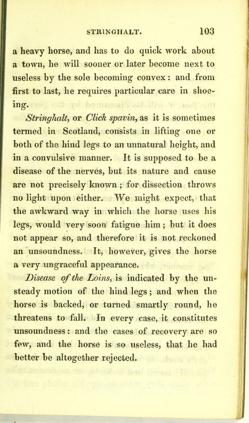 a heavy horse, and has to do quick work about a town, he will sooner or later become next to useless by the sole becoming convex: and from first to last, he requires particular care in shoe- ing. Stringhalt, or Click spavin, as it is sometimes termed in Scotland, consists in lifting one or both of the hind legs to an unnatural height, and in a convulsive manner. It is supposed to be a disease of the nerves, but its nature and cause are not precisely known ; for dissection throws no light upon either. We might expect, that the awkward way in which the horse uses his legs, would very soon fatigue him; but it does not appear so, and therefore it is not reckoned an unsoundness. It, however, gives the horse a very ungraceful appearance. Disease of the Loins, is indicated by the un- steady motion of the hind legs; and when the horse is backed, or turned smartly round, he threatens to fall. In everv case, it constitutes unsoundness: and the cases of recovery are so few, and the horse is so useless, that he had better be altogether rejected.