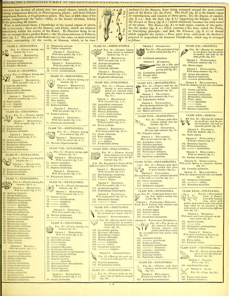 JNTAIMlJNti A JVTj I TU THE. 1 U 1 J-JITi, yiNN^us has divided all plants into two grand classes, namely, those earing conspicuous flowers, or Phanerogamous plants; and those without onspicuous flowers, or Cryptogamous plants. The last, or 24th class of his ystem, comprehends the latter; while, to the former division, belong 11 the preceding 23 classes. Now, to understand these, a knowledge of the sexual organs of plants nly is necessary; these are the Stamens, and Pistils, which are situated mmediately within the centre of the flower. To illustrate them, let us ake an example from a perfect flower,—the Nicotiana tabacum, or Tobacco lant (fig. 1.) The parts of this flower are (a) the calyx, or most external nvelope, surrounding (b) the corolla, or blossom, which, in its turn encloses (c) the Stamens, these being arranged around the most central part of the flower (d), the Pistil. The Pistil (fig. 2) is the female organ of reproduction, and consists of three parts; 1st, the Stigma, or summit (fig. 2. a.); 2nd, the Style (fig. 2. b.) supporting the Stigma; and 3rd the Germen or Ovary (fig. 2. c.) which ultimately becomes the seed vessel of the plant. The Stamen (fig. 3.) or male organ, consists of two parts; 1st, the Anther (fig. 3. a.) which contains a fine dust, called the Pollen, or fructifying principle ; and 2nd, the Filament, (fig. 3. b.) or thread which supports the anther.—These parts being understood, the Student is prepared to comprehend the Linncean Classification, which may be arranged as follows. CLASS I.—MONANDRIA. 7 Fig. 4.—Flowers having one stamen (fig. 4. a.) Order 1. Monogynia. With one pistil (fig 4. b.) 1. Curcuma longa. 2. Elettaria cardamomum. 3. Zingiber officinale. CLASS II.—DIANDRIA. Jf f Fig. 5.—Flowers having two stamens (fig. 5. a.) Order 1. Monogynia. With onepistil (fig. 4. b.) 4. Gratiola officinalis. 5. Olea europcea. 6. Rosmarinus officinalis. Salvia officinalis. Order 3 Trigynia. With three pistils (fig. 5. b.) Piper cubeba. longum. nigrum. CLASS III.—TRIANDRIA. j. * Fig. 6. — Flowers having three stamens (fig. 6. o.) Order 1. Monogynia. With one pistil (fig. 4. b.) . Crocus sativus. . Iris florentina. . Valeriana officinalis. Order 2. Digynia. With two pistils (fig. 6. b.) . Avcna sativa. . Ilordeum distichon. . Saccharum officinarum. . Secale cornutum. . Triticum hybernum. CLASS IV.—TETRANDR1A. Fig. 7.—Flowers having four stamens (fig. 7.) Order 1. Monogynia. With one pislil (fig. 4. b.) 19. Dorstcnia contrajerva. I 20. Krameria triandra. 21. Rubia tinctorum. CLASS V.—PENTANDRIA. 2a Fig. 8.—Flowers having Jive stamens (fig. 8. a.) Order 1. Monogynia. With onepistil (fig. 4. b.) 22. Ancbusa tinctoria. 23. Atropa belladonna. 24. Bomplandia trifoliata. 23. Cephaelis ipecacuanba. 26. Cinchona cordifolia. 27. lancifolia. 25. oblongifolia. 29. Capsicum annuum. 30. Chironia centaurium. 31. Convolvulus jalapa. 82, scammonia. 33. Datura stramonium. 34. Diosma crenata. 35. Hyoscyamus niger. :>0. Menyanthes trifoliata. 37. Nicotiana tabacum. 38. Rhamnus catharticus. 39. Solatium dulcamara. 40. Spigelia marilandica. 11. Strychnos nux vomica. 42. Vitis vinifera. 43. Viola odorata. Order 2. Digynia. With Iwo pistils (fig. 6. b.) 44. Anethum graveolens. 45. ficniculum. 46. Angelica archangelica. 47. Hubon galbanum. 48. ('arum carui. 49. Conium maculatum. 50. Coriaudrum sativum. . 51. Cuminum cyminum. 52. Daucus carota. 53. Ferula assafo?tida. 51. Gentiana lutea. 55. Heracleum gummiferura. 56. Pastinaca opoponax. 57. Pimpinella anisum. 58. Ulmus campestris. Order 3. Trigynia. With three pistils (fig. 5. b.) 59 Rhus toxicodendron. 60. Sambucus nigra. Order 5. Pentagynia. With five pistils (fig. 8. b.) 61. Linum catbarticum. 62. ——— usitatissimum. 71 CLASS VI.—HEXANDRIA. Fig. 9.—Flowers having six stamens (fig. 9.) Order 1. Monogynia. With one pistil (fig. 4. b.) Acorus calamus. Allium cepa. —■ porrum. sativum. Aloe spicata. vulgaris. Scilla maritima. Order 2. Digynia. With two pistils (fig. 6. b.) Rumex acetosa. Order 3. Trigynia. With three pistils (fig. 5. 4.) Colchicum autumnale. CLASS VII.—HEPTANDRIA. Fig. 10. — Flowers having seven stamens (fig. 10.) Order 1. Monogynia. With one pistil (fig. 4. b.) 72. yEsculus hippocastanum. CLASS VIII.—OCTANDRIA. v/fit Fig. 11.—Flowers having eight stamens (fig. 11.) Order 1. Monogynia. With one pistil (fig. 4. b.) 73. Amyris elemifera. 74. gileadensis. 75. Daphne mezereum. Order 3. Trigynia. With three pistils (fig. 5. A.) 76. Polygonum bistorta. CLASS IX.—ENNEANDRIA Fig. 12.—Flowers having nine stamens (fig. 12.) Order 1. Monogynia. With one pistil (fig. 4. b.) 77. Laurus cassia. 78. cinnamomum. 79. ■— camphora. SO. nobilis. 81. sassafras. Order 3. Trigynia. With three pistils (fig. 5. b.) S2. Rheum palmatum. 83. undulatum. CLASS X.—DECANDRIA. Fig. 13.—Flowers having ten stamens (fig. 13.) Order 1. Monogynia. With one pistil (fig. 4. b.) 84. Arbutus uva ursi. 85. Boswellia serrata. 86. Cassia fistula. 87. senna. SS. Copifera officinalis. 89. Guaiacum officinale. 90. H^ematoxylon campechianum. 91. Myroxylon peruiferum. 92. Pyrola umbellata. 93. Quassia excelsa. 94. simaruba. 95. Rhododendron chrysanthum. 96. Ruta graveolens. 97. Styrax benzoin. 98. officinale. Order 5. Pentagynia. With Jive pistils (fig. 8. b.) 99. Oxalis acetosella. CLASS XL—DODECANDRIA. o Fig. 14.—Flowers having from twelve to nineteen stamens (fig. 14. a.) Order I. Monogynia. With one pistil (tig. 4. b.) Asarum europasum. Canella alba. Lythrum salicaria. Order 3. Trigynia. With three pistils (fig. 5. 6.) Euphorbia officinarum. 100. 101 102. CLASS XII.—ICOSANDRIA. _V,t Fig. 15. — Flowers having .' «?f twenty or more stamens, which are inserted either upon the calyx or corolla (fig. 15.) Order 1. Monogynia. With one pistil (fig. 4. b.) 104. Amygdalus communis 105 Eugenia caryophyllata. 106. Myrtus pimenta. 107. Prunus domestica. 108. lauro-cerasus. 109. Punica granatum. Order 5. Pentagynia. With Jive pistils (fig. 8. b.) 110. Pyrus cydonia. Order 8. Polygynia. With many pistils (fig. 14. b.) 111. Geum urbanum. 112. Rosa canina. 113. centifolia. 114. gallica. 115. Tormentilla erecta. CLASS XIII.—POLYANDRIA. Fig. 16. — Flowers having many stamens, all of which are inserted upon the Re- ceptacle (fig. 16.) N.B. The Receptacle is where all the different parts of the flower unite. Order 1. Monogynia. With one pislil (fig. 4.6.) 116. Dryobalanops camphora. 117. Papaver somniferum. 118. rhceas. Order 3. Trigynia. With three pistils (fig. 5. b.) 119. Aconitum napellus. 120. Delphinium staphisagria. Order 6. Polygynia. With many pistils (fig 14. b.) 121. Helleborus foc-tidus. 122. niger. CLASS XIV.—DIDYNAMIA. >. Fig. 17.—Flower with four stamens, two of which are longest (fig. 17.) ». Order 1. Gymnospermia. v/Tk7? Fig. 18.—Having naked seeds, W^r(tJ generally four in number, situated at the bottom of the calyx (fig. 18.) 124. Lavandula spicata. 125. Hyssppus officinalis. 126. Marrubium vulgare. 127. Melissa officinalis. 128. Mentha piperita. 129. pulegium. 130. sativa. 131. Origanum majorana. 132. vulgare. \ Order 2. Angiospermia. Fig. 19.—Having the seeds en- closed in a seed vessel (fig. 19.) 133. Digitalis purpurea. 134. Scrophularia nodosa. CLASS XV.—TETRADYNAMIA. 'h V- Fig. 20.—Flowers with six sta- u1?/7 mens, four of which are longest \\!/// (fig. 20.) Order 1. Siliqulosa. Fig. 21.—The seedvessel being 1HBM a short round pod (fig. 21.) 135. Cochliaria armoracea. Order 2. Siliuuosa. Fig. 22. — The seed I being a long ta pering pod (fig. 22.) 136. Cardamine pratensis. 137. Sinapis alba. 138. nigra. CLASS XVI.—MONADELPHIA. JjJjAa Fig. 23.—Flowers with the sta VT mens united into one bundle JU by their filaments (fig. 23.) Order 1. Triandria. Having three stamens (fig. 6. a.) 139. Tamarindus indica. Order 6. Polyandria. Having many stamens (fig. 16.) 140. Althcea officinalis. 141. Malva sylvestris. CLASS XVII.—DIADELPHIA. i^, Fig. 24.—Flowers with their l3f-A stamens united into two bundles (fig. 24.) Order 3. Octandria. Having eight stamens (fig. 11.) 142. Polygala senega. Order 4. Decandria. Having ten stamens (fig. 13.) 143. Astragalus verus. 144. Dolichos pruriens. 145. Glychyrrhiza glabra. 146. Geoffroya inermis. 147. Pterocarpus erinacea. 148. santalinus. 149. Spartium scoparium. CLASS XVIII.—POLYADELPHIA. Wftt-* Fig 25.—Flowers with their stamens united into three ^ or more bundles (fig. 25.) Order 3. Icosandria. Having twenty or more stamens attached to the calyx or corolla (fig. 15.) 150. Citrus aurantium. 151. medica. 152. Melaleuca cajaputi. CLASS XIX.—SYNGENESIA. Xwv* Fig. 26.—Compound flowers hav- ■ V'jjjj ing their anthers united into '•W a tube (fig. 26.) Order 1. Polygamia iEauALis. Each floret bearing both stamens and pistils (fig. 26.) 153. Arctium lappa. 154. Lactuca sativa. 155. virosa. 156. Leontodon taraxacum. Order 2. Polygamia Superflua. Fig. 27.—The Jlorets in the centre of the flower bearing stamens and pistils, while those round the circumference bear pistils only (fig. 27.) 158. Antliemis nobilis. 159. pyrethrum. 160. Arnica montana. 161. Artemisia absinthium. 162. chinensis. 163. santonica. 164. Inula helenium. 163. Tussilago farfara. 166. Tansetum vulgare. CLASS XX— GYNANDRIA. - J Fig. 28. — Flowers with their stamens united with the pislil (fig. 28.) Order 4. Hexandria. Having six stamens (fig. 9.) 167. Aristolochia serpentaria. CLASS XXI.—MONCECIA. Fig. 29.—Having the stamens in one flower, and the pistils in another, but both on the same plant (fig. 29.) Order 4. Tetrandria. With Jour stamens (fig. 7.) 168. Morus nigra. Order 7. Polyandria. With many stamens (fig. 16.) 169. Arum maculatum. 170. Quercus infectoria. 171. pedunculata. Order 8. Monadelphia. With the stamens united into one bundle (fig. 23 ) 172 Croton cascarilla. 173. tigleum. 174. Cucumis colocynthis. 175. Momordica elaterium. 176. Pinus abies. 177. balsamea. 178. larix. 179. sylvestris. 180. Ricinus communis. CLASS XXII.—DIQ3CIA. Fig. 30.—Having the stamens in one flower, and the pis- tils in another, but each on separate plants (fig. 30.) Order 2. Diandria. With two stamens (fig. 5.) 181. Salix caprea. Order 5. Pentandria. With five stamens (fig. 8.) 182. Humulus lupulus. 183. Pistacia lentiscus. 184. terebinthus. Order 6. Hexandria. With six stamens (fig. 9.) 185. Smilax sarsaparilla. Order 10. Dodecandria. With from twelve to nineteen stamens (fig. 14.) 186. Cocculus palmatus. Order 13. Monadelphia. With the stamens united into one bundle (fig.23.) 187. Juniperus communis. 188. sabina 189. Myristica moschata. CLASS XXIII.—POLYGAMIA. af.li t Fig.31.—Havingthree ^^>V Mni % fllowers' ^Sk? w some with stamens ^ ^ only, others with pistils, and a third with both, which may either be all situated on the same plant, or scattered on different ones (fig. 31.) Order 1. Moncecia. With male and female flowers on the same plant (fig. 29.) 190. Acacia catechu. 191. vera. 192. Stalagmites cambogioides. 193. Veratrum album. Order 2. Diojcia. With male and female flowers on different plants (fig. 30.) 194. Ficus carica. 195. Fraxinus ornus. CLASS XXIV CRYPTOGAMIA. Fig. 32.—Plants having their parts of fructification in- ^£gfe <Hslicl <fiS- 820 Order 1. Filices. Ferns (fig. 32.) 196. Aspidium tilix mas. Order 3. \\ arn.. Fig. 33.—Flays (fig. 33.) 197. Fucus vesicnlosus. 198. Lichen islandicus.