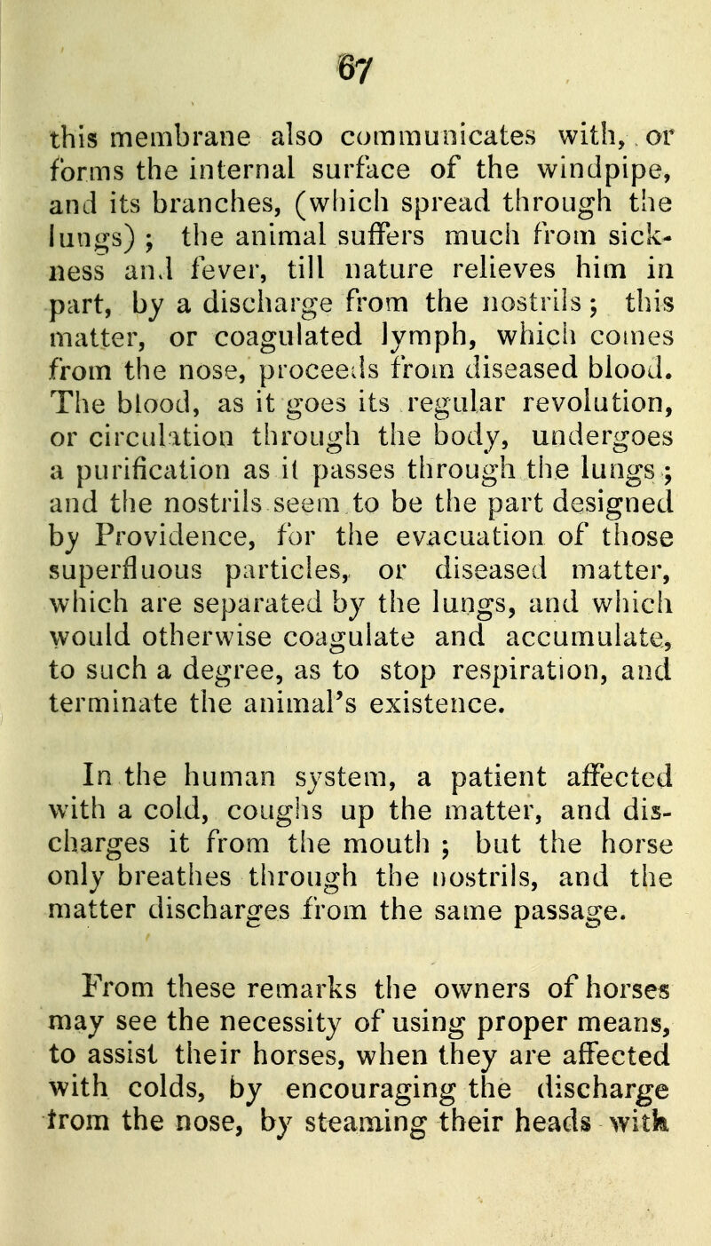 this membrane also communicates with, or forms the internal surface of the windpipe, and its branches, (which spread through the lungs) ; the animal suffers much from sick- ness and fever, till nature relieves him in part, by a discharge fi^om the nostrils ; this matter, or coagulated lymph, which comes from the nose, proceeds from diseased blood* The blood, as it goes its regular revolution, or circulation through the body, undergoes a purification as il passes through the lungs ; and the nostrils seem to be the part designed by Providence, for the evacuation of those superfluous particles, or diseased matter, which are separated by the lungs, and which would otherwise coagulate and accumulate, to such a degree, as to stop respiration, and terminate the animaPs existence. In the human system, a patient affected with a cold, couglis up the matter, and dis- charges it from the mouth ; but the horse only breathes through the nostrils, and the matter discharges from the same passage. From these remarks the owners of horses may see the necessity of using proper means, to assist their horses, when they are affected with colds, by encouraging the discharge trom the nose, by steaming their heads witk