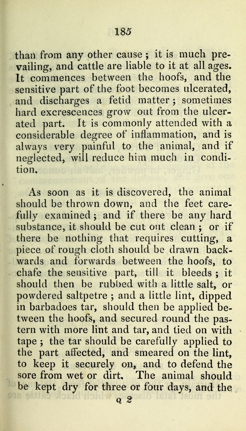 than from any other cause ; it is much pre- vaiHng, and cattle are liable to it at all ages. It commences between the hoofs, and the sensitive part of the foot becomes ulcerated, and discharges a fetid matter; sometimes hard excrescences grow out from the ulcer- ated part. It is commonly attended with a considerable degree of inflammation, and is always very painful to the animal, and if neglected, will reduce him much in condi- tion. As soon as it is discovered, the animal should be thrown down, and the feet care- fully examined J and if there be any hard substance, it should be cut out clean ; or if there be nothing that requires cutting, a piece of rough cloth should be drawn back- wards and forwards between the hoofs, to chafe the sensitive part, till it bleeds ; it should then be rubbed with a little salt, or powdered saltpetre ; and a little lint, dipped in barbadoes tar, should then be applied be- tween the hoofs, and secured round the pas- tern with more lint and tar, and tied on with tape ; the tar should be carefully applied to the part affected, and smeared on the lint, to keep it securely on, and to defend the sore from wet or dirt* The animal should be kept dry for three or four days, and the Q 2
