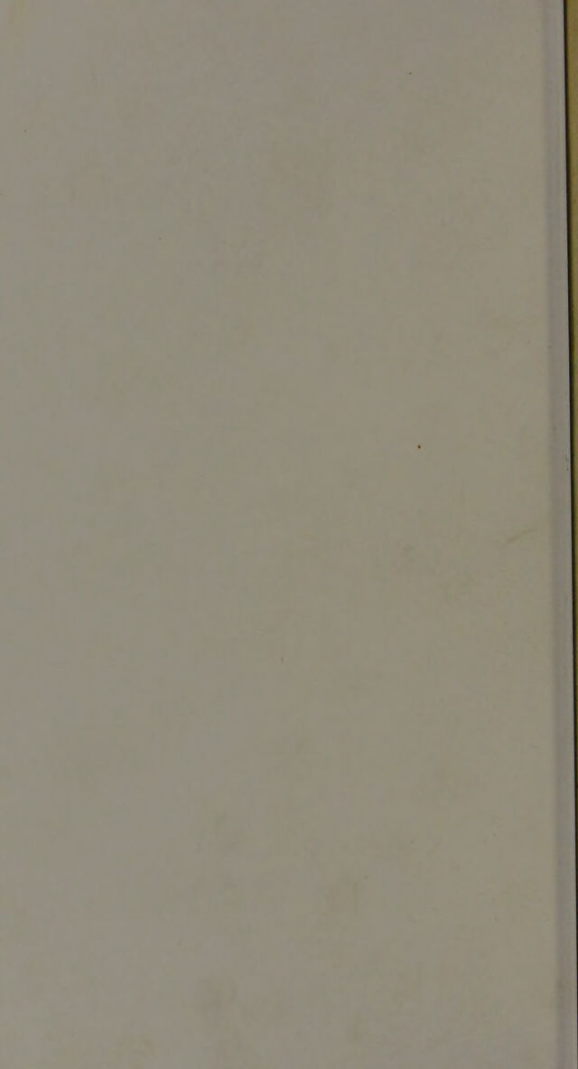 digitised image 2