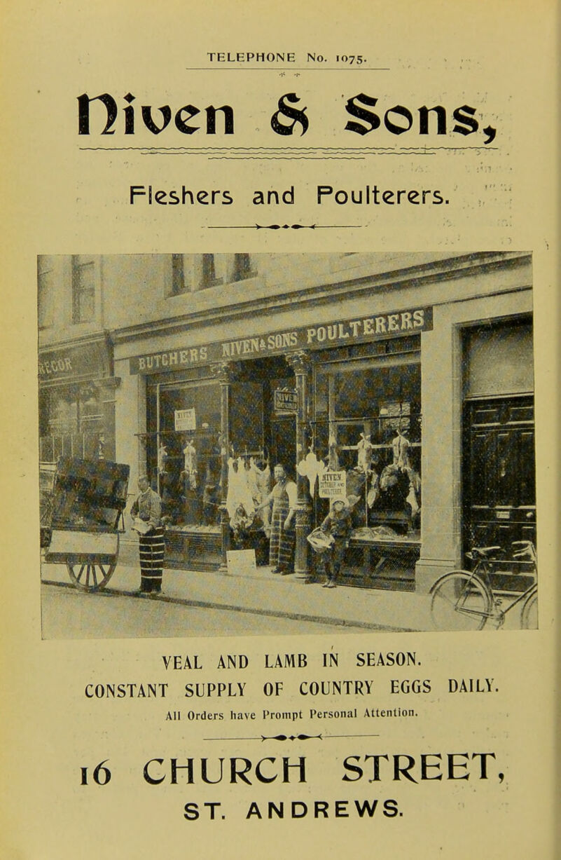 niven Ss $on$. Fleshers and Poulterers. > < VEAL AND LAMB IN SEASON. CONSTANT SUPPLY OF COUNTRY EGGS DAILY. All Orders have Prompt Personal Attention. > m*^ < 16 CHURCH STREET, ST. ANDREWS.