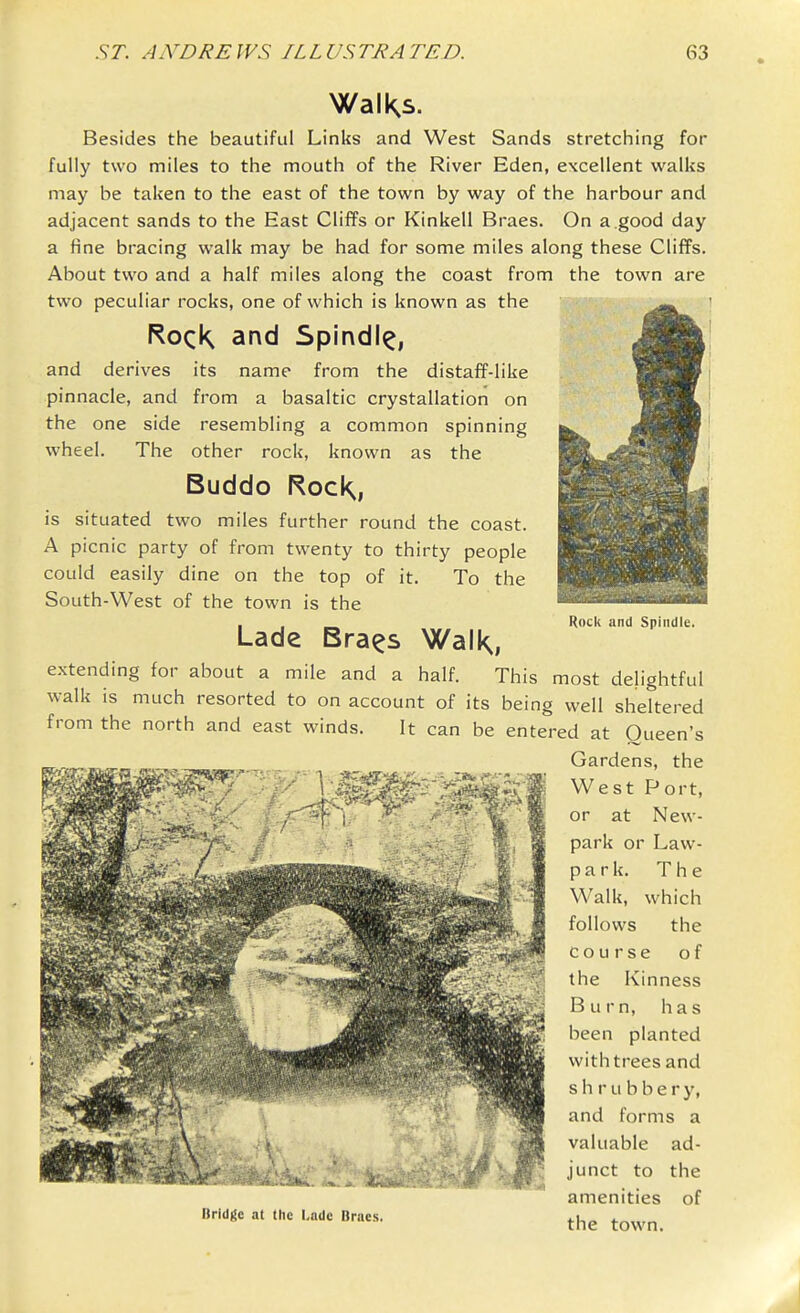 Rock and Spindle. WalKs. Besides the beautiful Links and West Sands stretching for fully two miles to the mouth of the River Eden, excellent walks may be taken to the east of the town by way of the harbour and adjacent sands to the East Cliffs or Kinkell Braes. On a.good day a fine bracing walk may be had for some miles along these Cliffs. About two and a half miles along the coast from the town are two peculiar rocks, one of which is known as the RocK and Spindly, and derives its name from the distaff-like pinnacle, and from a basaltic crystallation on the one side resembling a common spinning wheel. The other rock, known as the Buddo RocK, is situated two miles further round the coast. A picnic party of from twenty to thirty people could easily dine on the top of it. To the South-West of the town is the Lade Bra^s WalK, extending for about a mile and a half. This most delightful walk is much resorted to on account of its being well sheltered from the north and east winds. It can be entered at Queen's Gardens, the West Port, or at New- park or Law- pa r k. The Walk, which follows the course of the Kinness Burn, has been planted with trees and s h r u b b e r y, and forms a valuable ad- junct to the amenities of the town. Bridge at tlie Lade Braes.