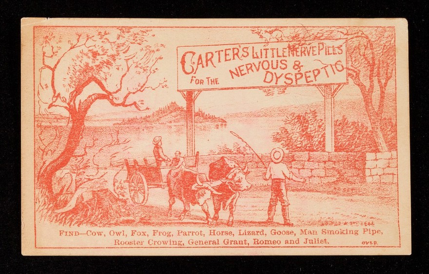 Carter's Little Nerve Pills for the nervous & dyspeptic : find - cow, owl, fox, frog, parrot, horse, lizard, goose, man smoking pipe, rooster crowing, General Grant, Romeo and Juliet ... / Carter Medicine Co.