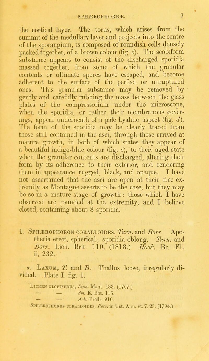 the cortical layer. The torus, which arises from the summit of the medullary layer and projects into the centre of the sporangium, is composed of roundish cells densely packed together, of a brown colom- (fig. c). The scobiform substance appears to consist of the discharged sporidia massed together, from some of which the granular contents or ultimate spores have escaped, and become adherent to the surface of the perfect or unruptured ones. This granular substance may be removed by gently and carefully rubbing the mass between the glass plates of the compressorium imder the microscope, when the sporidia, or rather their membranous cover- ings, appear underneath of a pale hyaline aspect (fig. d). The form of the sporidia may be clearly traced from those still contained in the asci, through those arrived at mature growth, in both of which states they appear of a beautiful indigo-blue colour (fig. e), to theiv aged state when the granular contents are discharged, altering their form by its adherence to their exterior, and rendering them in appearance rugged, black, and opaque. I have not ascertained that the asci are open at their free ex- tremity as Montague asserts to be the case, but they may be so in a mature stage of growth: those which I have observed are rounded at the extremity, and I believe closed, containing about 8 sporidia. 1. SpH^ROPHOROisf coRALLOiDES, and ^orr. Apo- thecia erect, spherical; sporidia oblong. 2'iirn. and £orr. Lich. Brit. 110, (1813.) IIooL Br. EL, ii, 232. a. Laxum, T. and B. Thallus loose, irregularly di- vided. Plate I. fig. 1. Lichen globiferus, Li9m. Mant. 133. (17G7.) — — Sm. E. Bot. 115. — — AcL Prodr. 210. Stu^EiiopuoRus coiiAi-LoiDEs, Pufs. in Ufit. Auu. St. 7.23. (179'i.)