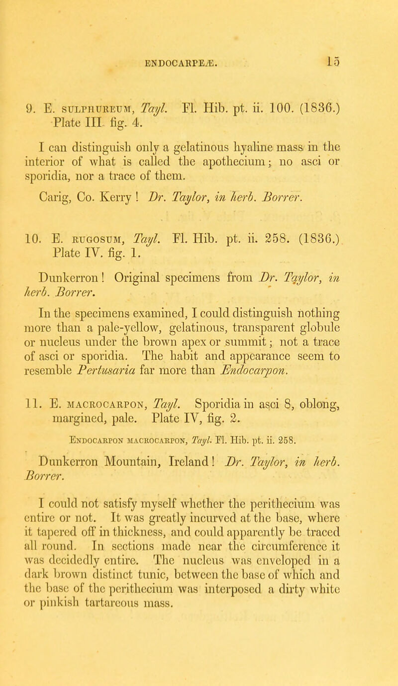 9. E. suLPHUREUM, Tayl Fl. Hib. pt. ii. 100. (1836.) Plate 111. fig. 4. 1 can distinguish only a gelatinous hyaline masa in the interior of what is called the apothecium; no asci or sporidia, nor a trace of them. Carig, Co. Kerry ! Br. Taylor, in herb. Borrer. 10. E. RUGOSUM, Tayl. El. Hib. pt. ii. 258. (1836.) Plate IV. fig. 1. Dunkerron! Original specimens from Dr. Taylor, in herb. Borrer. In the specimens examined, 1 could distinguish nothing more than a pale-yellow, gelatinous, transparent globule or nucleus under the brown apex or summit; not a trace of asci or sporidia. The habit and appearance seem to resemble Bertusaria far more than Bndocarpon. 11. E. MACROCARPON, Tayl. Sporidia in asci 8, oblong, margined, pale. Plate IV, fig. 2. Endocabpon mackocaepon, Tayl. H. Hib. pt. ii. 258. Dunkerron Mountain, Ireland! Br. Taylor, in herb. Borrer. I could not satisfy myself whether the perithecium was entire or not. It was greatly incurved at the base, where it tapered off in thickness, and could apparently be traced all round. In sections made near the circumference it was decidedly entire. The nucleus was enveloped in a dark brown distinct tunic, between the base of which and the base of the perithecium was interposed a dirty white or pinkish tartareous mass.