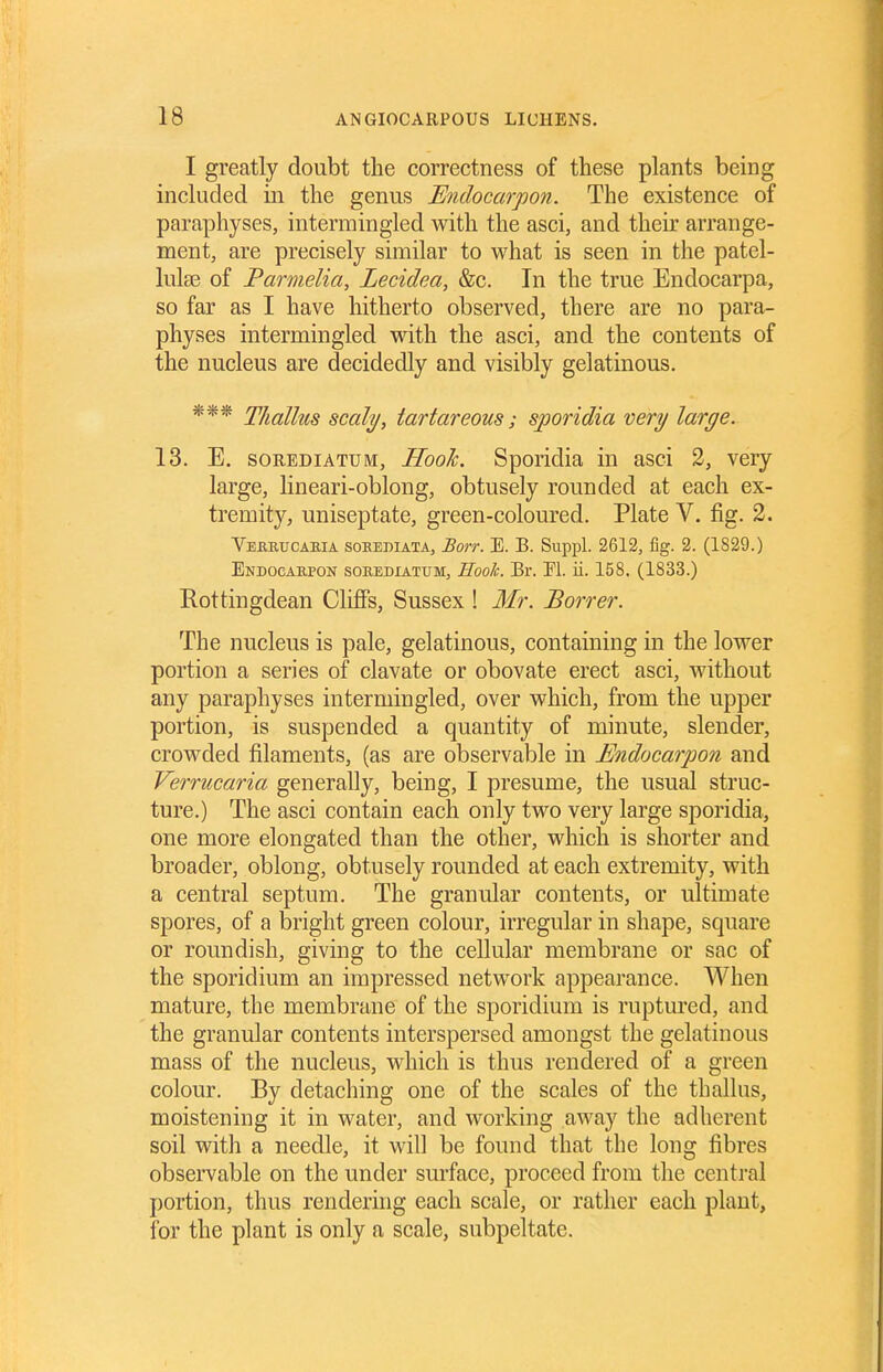 I greatly doubt the correctness of these plants being included in the genus Endocarpon. The existence of paraphyses, intermingled with the asci, and their arrange- ment, are precisely similar to what is seen in the patel- IuIeb of Parmelia, Lecidea, &c. In the true Endocarpa, so far as I have hitherto observed, there are no para- physes intermingled with the asci, and the contents of the nucleus are decidedly and visibly gelatinous. *** Thallus scaly, tartareous; sporidia very large. 13. E. soREDiATUM, HooJc. Sporidia in asci 2, very large, lineari-oblong, obtusely rounded at each ex- tremity, uniseptate, green-coloured. Plate V. fig. 2. Vekkucabia soeehiata, Borr. E. B. Suppl. 2612, fig. 2. (1829.) Endocakpon sokediatum, Hook. Br. El. ii. 158. (1833.) E-ottingdean Clifis, Sussex ! Mr. Borrer. The nucleus is pale, gelatinous, containing in the lower portion a series of clavate or obovate erect asci, without any paraphyses intermingled, over which, from the upper portion, is suspended a quantity of minute, slender, crowded filaments, (as are observable in Endocarpon and Verrucaria generally, being, I presume, the usual struc- ture.) The asci contain each only two very large sporidia, one more elongated than the other, which is shorter and broader, oblong, obtusely rounded at each extremity, with a central septum. The granular contents, or ultimate spores, of a bright green colour, irregular in shape, square or roundish, giving to the cellular membrane or sac of the sporidium an impressed network appearance. When mature, the membrane of the sporidium is ruptured, and the granular contents interspersed amongst the gelatinous mass of the nucleus, which is thus rendered of a green colour. By detaching one of the scales of the thallus, moistening it in water, and working away the adherent soil with a needle, it will be found that the long fibres observable on the under surface, proceed from the central portion, thus rendering each scale, or rather each plant, for the plant is only a scale, subpeltate.