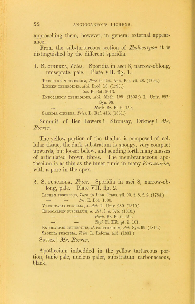 approaching them, however, in general external appear- ance. From the sub-tartareous section of Endocarpon it is distinguished by the different sporidia. 1. S. ciNEREA, Fries. Sporidia in asci 8, narrow-oblong, uniseptate, pale. Plate VII. fig. 1. ENDOCiEPON ciNEEETJM, Fers. ia TJst. Ann. Bot. vii. 28. (1794.) Lichen tephkoideSj Ach. Prod. 18. (1798.) — — 8m. E. Bot. 2013. Endocakpon tephroides, AcU. Meth. 129. (1803;) L. Univ. 297; Syn. 98. — — Hook. Br. EI. ii. 159. Sagedia cineeea. Fries. L. Ref. 413. (1831.) Summit of Ben Lawers ! Stronsay, Orkney! Mr. Borrer. The yellow portion of the thallus is composed of cel- lular tissue, the dark substratum is spongy, very compact upwards, but looser below, and sending forth many masses of articulated brown fibres. The membranaceous apo- thecium is as thin as the inner tunic in many Verrucarice, with a pore in the apex. 2. S. ruscELLA, Fries. Sporidia in asci 8, narrow-ob- long, pale. Plate VII. fig. 2. Lichen fuscellus. Turn, in Linn. Trans, vii. 90. t. 8. f. 2. (1784.) — — 8m. E. Bot. 1500. Vereucaria etjscella, a. Acli. L. Univ. 289. (1810.) Endocaepon fuscellum, a. Ach. 1. c. 675. (1810.) — — Eoolc. Br. El. ii. 159. — — Tayl. El. Hib. pt. ii. 101. Endocaepon tepheoides, /3. polythecium, Ach. Syn. 99. (1814.) Sagedia puscella, Fries, L. Eeform. 4J3. (1831.) Sussex! Mr. Borrer. Apothecium imbedded in the yellow tartareous por- tion, tunic pale, nucleus paler, substratum carbonaceous, black.