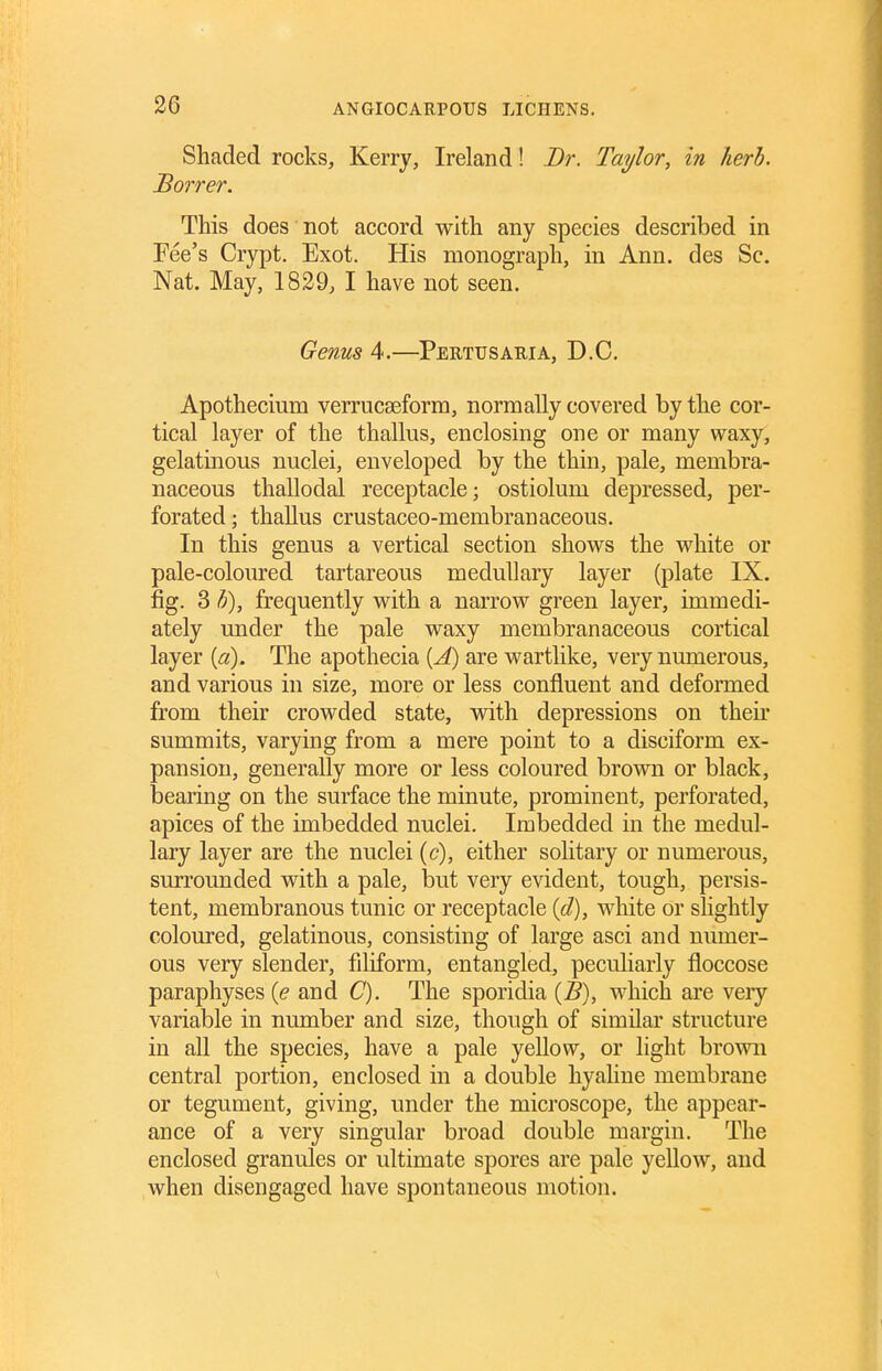 Shaded rocks, Kerry, Ireland! Taylor, in herb. Borrer. This does not accord with any species described in Fee's Crypt. Exot. His monograph, in Ann. des Sc. Nat. May, 1829, I have not seen. Genus 4.—Pertusaria, D.C. Apothecium verrucaeforra, normally covered by the cor- tical layer of the thallus, enclosing one or many waxy, gelatinous nuclei, enveloped by the thin, pale, membra- naceous thallodal receptacle; ostiolum depressed, per- forated; thallus crustaceo-membranaceous. In this genus a vertical section shows the white or pale-coloured tartareous medullary layer (plate IX. fig. 3 h), frequently with a narrow green layer, immedi- ately under the pale waxy membranaceous cortical layer {a). The apothecia {A) are wartlike, very numerous, and various in size, more or less confluent and deformed from their crowded state, with depressions on their summits, varying from a mere point to a disciform ex- pansion, generally more or less coloured brown or black, bearing on the surface the minute, prominent, perforated, apices of the imbedded nuclei. Imbedded in the medul- lary layer are the nuclei [c), either solitary or numerous, surrounded with a pale, but very evident, tough, persis- tent, membranous tunic or receptacle {d), white or slightly coloured, gelatinous, consisting of large asci and numer- ous very slender, filiform, entangled, peculiarly floccose paraphyses {e and C). The sporidia (5), which are veiy variable in number and size, though of similar structure in all the species, have a pale yellow, or light brown central portion, enclosed in a double hyaline membrane or tegument, giving, under the microscope, the appear- ance of a very singular broad double margin. The enclosed granules or ultimate spores are pale yellow, and when disengaged have spontaneous motion.