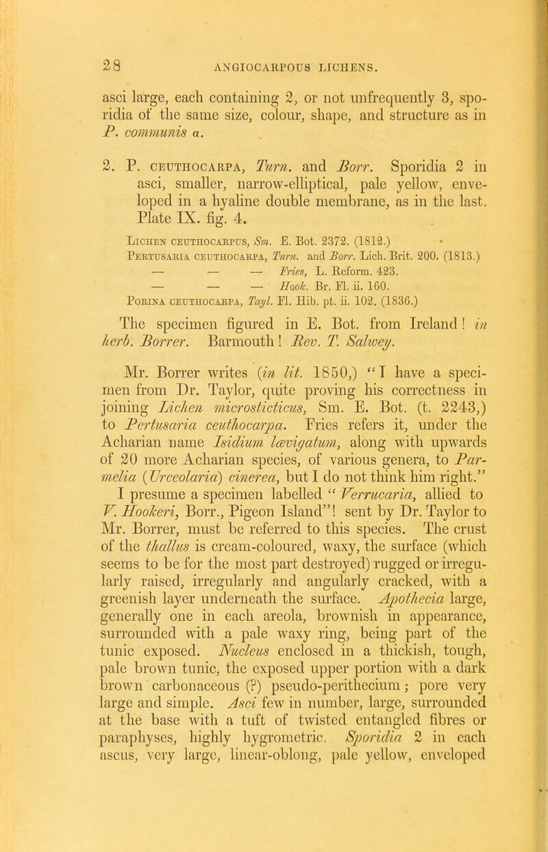 asci large, each containing 2, or not imfrequently 3, spo- ridia of the same size, colour, shape, and structure as in P. communis a. 2. P. CEUTHOCARPA, Tum. and Borr. Sporidia 2 in asci, smaller, narrow-elliptical, pale yellow, enve- loped in a hyaline double membrane^, as in the last. Plate IX. fig. 4. Lichen ceuthocabptjs, Sm. E. Bot. 2372. (1812.) Pertusakia CEUTHOCAiiPA, Ttim. aud Borr. Licli. Brit. 200. (1813.) — — — Fries, L. Reform. 423. — — — Haok. Br. El. ii. 160. PoEiNA CEXJTHOCABPA, Tai/l. M. Hib. pt. ii. 102. (1836.) The specimen figured in E. Bot. from Ireland! in herb. Borrer. Barmouth ! Bev. T. Salioey. Mr. Borrer writes {in lit. 1850,) I have a speci- men from Dr. Taylor, quite proving his correctness in joining Lichen microsticticus, Sm. E. Bot. (t. 2243,) to Pertusaria ceidhocarpa. Eries refers it, under the Acharian name Isidium Icevigatum, along with upwards of 20 more Acharian species, of various genera, to Par- melia (Vrceolaria) cinerea, but I do not think him right. I presume a specimen labelled  Verrucaria, allied to V. Hookeri, Borr., Pigeon Island! sent by Dr. Taylor to Mr. Borrer, must be referred to this species. The crust of the thallus is cream-coloured, waxy, the surface (which seems to be for the most part destroyed) rugged or irregu- larly raised, irregularly and angularly cracked, with a greenish layer underneath the sm'face. Apothecia large, generally one in each areola, brownish in appearance, surrounded with a pale waxy ring, being part of the tunic exposed. Nucleus enclosed in a thickish, tough, pale brown tunic, the exposed upper portion with a dark brown carbonaceous (?) pseudo-perithecium; pore very large and simple. Asci few in number, large, surrounded at the base with a tuft of twisted entangled fibres or paraphyses, highly hygrometric. Sjjoridia 2 in each ascLis, very large, linear-oblong, pale yellow, enveloped