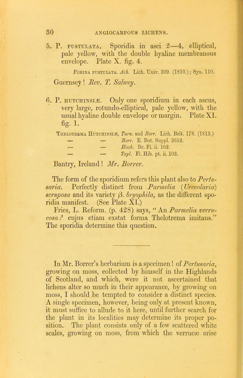 5. P. pusTULATA. Sporidia in asci 2—4, elliptical, pale yellow, with the double hyaline membranous envelope, Plate X. fig. 4. PoRiNA PTTSTULATA. Ach. Lich. Univ. 309. (1810.); Syn. 110. Guernsey ! Rev. T. Salwey. 6. P. HUTCHiNsi^. Only one sporidium in each ascus, very large, ro tun do-elliptical, pale yellow, with the usual hyaline double envelope or margin. Plate XI. fig. 1. THELOTBSiMA HuTCHiNsi^, Tum. and Borr. Licli. Erit. 178. (1813.) — — Borr. E. Bot. Suppl. 2652. — — Book. Br. El. ii. 162. — — Tayl. ELHib. pt. ii.l03. Bantry, Ireland ! Mr. Borrer. The form of the sporidium refers this plant also to Pertu- saria. Perfectly distinct from Parmelia (Jlrceolarid) scruposa and its variety |3. bri/opMla, as the difierent spo- ridia manifest. (See Plate XI.) Fries, L. Reform, (p. 428) says,  An Parmelia verru- cosa? cujus etiam exstat forma Thelotrema imitans. The sporidia determine this question. In Mr. Borrer's herbarium is a specimen! of Pertusaria, growing on moss, collected by himself in the Highlands of Scotland, and which, were it not ascertained that lichens alter so much in their appearance, by growing on moss, I should ,be tempted to consider a distinct species. A single specimen, however, being only at present known, it must suffice to allude to it here, until further search for the plant in its localities may determine its proper po- sition. The plant consists only of a few scattered white scales, growing on moss, from which the verrucse nrise