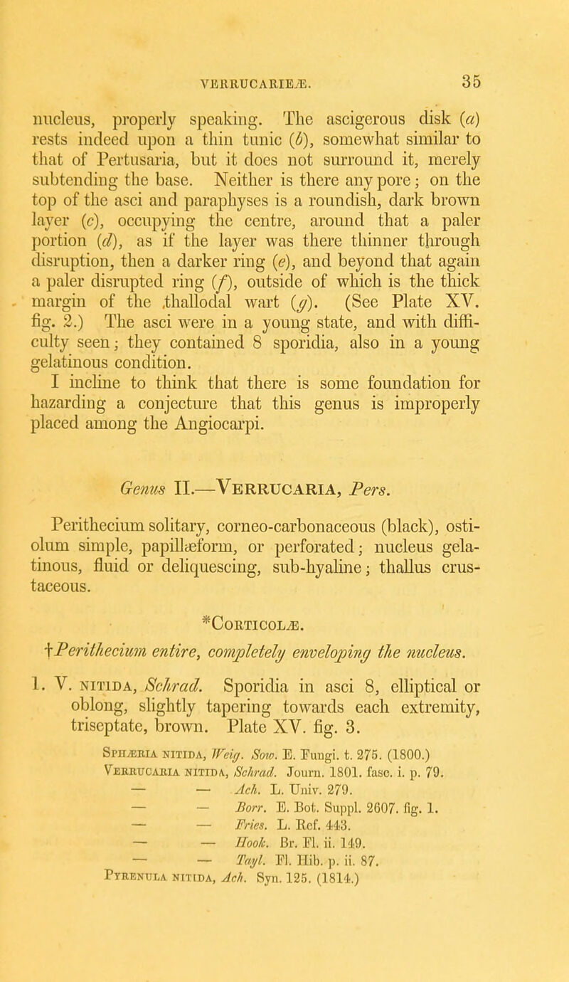 nucleus, properly speaking. The ascigerous disk {a) rests indeed upon a thin tunic ib), somewhat similar to that of Pertiisaria, but it does not surround it, merely subtending the base. Neither is there any pore; on the top of the asci and paraphyses is a roundish, dark brown layer (c), occupying the centre, around that a paler portion {d), as if the layer was there thinner through disruption, then a darker ring (<?), and beyond that again a paler disrupted ring [f], outside of which is the thick margin of the .thallodal wart (y). (See Plate XV. fig. 2.) The asci were in a young state, and with diffi- culty seen; they contained 8 sporidia, also in a young gelatinous condition. I incline to thmk that there is some foundation for hazarding a conjecture that this genus is improperly placed among the Angiocarpi. Genus II.—VerrucarIA, Pers. Perithecium solitary, corneo-carbonaceous (black), osti- olum simple, papillijeform, or perforated; nucleus gela- tinous, fluid or deliquescing, sub-hyaline; thallus crus- taceous. *C0RTIC0LiE. \Perithecium entire, completely enveloping tJie nucleus. 1. V. NiTiDA, Schrad. Sporidia in asci 8, elliptical or oblong, slightly tapering towards each extremity, triseptate, brown. Plate XV. fig. 3. SPHiERiA NITIDA, Weifj. Soio. E. Fuugi. t. 275. (1800.) Verrucahia NITIDA., Schracl. Journ. 1801. fasc. i. p. 79. — — Ach. L. Univ. 279. — — Borr. E. Bot. Suppl. 2607. fig. 1. — — Fries. L. Rcf. 443. — — Hook. Br. El. ii. 149. — — Tai/l. El. Hib. p. ii. 87. Pyrenula NITIDA, Ach. Sjn. 125. (1814.)