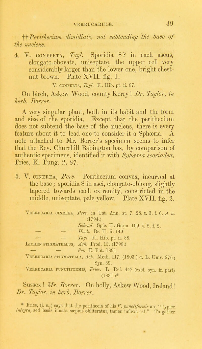 \\Peritheciim dimidiate, not siMending the base of the nucleus. 4. V. coNFEUTA, Tayl. Sporidia 8 ? in each ascus, elongato-obovate, imiseptate, the upper cell very considerably larger than the lower one, bright chest- nut brown. Plate XVII. fig. 1. V. CONFEBTA, Tciyl. H. Hib. pt. ii. 87. On birch, Askew Wood, county Kerry! Dr. Taylor, in herb. Borrer. A very singular plant, both in its habit and the form and size of the sporidia. Except that the perithecium does not subtend the base of the nucleus, there is every feature about it to lead one to consider it a Sphseria. A note attached to Mr. Borrer's specimen seems to infer that the Rev. Chm-chill Babington has, by comparison of authentic specimens, identified it with Sphceria scoriadea, Fries, El. Fung. 2. 87. 5. V. ciNEREA, Pers. Perithecium convex, incurved at the base; sporidia 8 in asci, elongato-oblong, slightly tapered towards each extremity, constricted in the middle, uniseptate, pale-yellow. Plate XVII. fig. 2. Vereucakia cineeea, Pers. iu Ust. Aim. st. 7. 28. t. 3. f. 6. A. a. (1794.) Schrad. Spic. Fl. Germ. 109. t. 2. f. 2. — — Hook. Br. M. ii. 149. — — TuT/l. M. Hib. pt. ii. 88. LicuEN STiGMATELLUS, Acli. Prod. 15. (1798.) — — Sm. E. Bot. 1891. Verbtjcaria stigmatella, Ach. Meth. 117. (1803.) a. L. Uuiv. 276; Syn. 89. Verbucabia punctifoemis, Fries. L. Ref. 447 (excl. syn. in part) (1831.)* Sussex ! Mr. Borrer. On holly, Askew Wood, Ireland! Dr. Taylor, in heQ'b. Borrer. * Fries, (1. c.,) says tliat the perithccia of his V. jmncliformis arc  lypice inlegra, sed basis iunata saipius obliteratur, tamen iiillcxa est. To gather