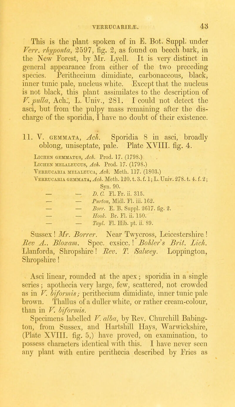 This is the plant spoken of in E. Bot. Suppl. under Verr. rhi/ponta, 2597, fig. 2, as found on beech bark, in the New Forest, by Mr. Lyell. It is very distinct in general appearance from either of the two preceding species. Perithecium dimidiate, carbonaceous, black, inner tunic pale, nucleus white. Except that the nucleus is not black, this plant assimilates to the description of V. pulla, Ach., L. Univ., 281. I could not detect the asci, but from the pulpy mass remaining after the dis- charge of the sporidia, I have no doubt of their existence. 11. V. GEMMATA, Acli. Sporidia 8 in asci, broadly oblong, uniseptate, pale. Plate XVIII. fig. 4. Lichen gemmatus, Ach. Prod. 17. (1798.) Lichen melaleuctjs, Ach. Prod. 17. (1798.) VEEBtrCARIA MELALEUCA, Ach. Metli. 117. (1803.) Vebbucahia GEMMATA, Ach. Meth. 120. t. 3. f. 1; L.Uuiv. 278. t. 4. f. 2; Syn. 90. — —B.C. PI. Pr. ii. 315. — — Pzirton, Midi. PI. iii. 163. — — Borr. E. B. Suppl. 2617- fig. 2. — — Hook. Er. PI. ii. 150. — — Taijl. PI. Hib. pt. ii. 89. Sussex ! Mr. Borrer. Near Twycross, Leicestershire ! Bev A.. Bloxam. Spec, exsicc.! Bolder s Brit. Lich. Llanforda, Shropshire! Bev. T. Balwey. Loppington, Shropshire! Asci linear, rounded at the apex; sporidia in a single series; apothecia very large, few, scattered, not crowded as in V. hiformis; perithecium dimidiate, inner tunic pale brown. Thallus of a duller white, or rather cream-colour, than in V. hiformis. Specimens labelled V. alba, by Rev, Churchill Babing- ton, from Sussex, and Hartshill Hays, Warwickshire, (Plate XVIII. fig. 5,) have proved, on examination, to possess characters identical with this. I have never seen any plant with entire peritliecia described by Fries as