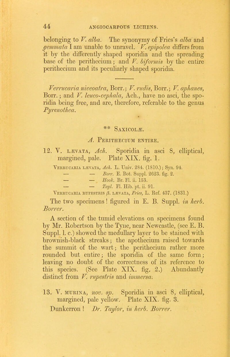 belonging to V. alba. The synonymy of Pries's alba and gemmata I am unable to unravel. V. epipolea differs from it by the diflPerently shaped sporidia and the spreading base of the perithecium; and V. biformis by the entire perithecium and its peculiarly shaped sporidia. Verrucaria niveoatra, Borr.; V. rudis, Borr.; V. aphanes, Borr.; and V. leuco-cepliala, Ach., have no asci, the spo- ridia being free, and are, therefore, referable to the genus Fyrenothea. ** Saxicol^. A. Perithecium entire. 12. V. LJiVATA, Acli. Sporidia in asci 8, elliptical, margined, pale. Plate XIX. fig. 1. Verrucabia LiEVATA, Ach. L. Uiiiv. 284. (1810.); Syn. 94. — — Borr. E. Bot. Suppl. 2623. fig. 2. — — Hooh. Br. Fl. ii. 153. — — Tayl. ri. Hib. pt. ii. 91. Veuktjcakia eupestbis /?. L^VATA, FHes, L. Eef. 437. (1831.) The two specimens! figm-ed in E. B. Suppl. in herb. Borrer. A section of the tumid elevations on specimens found by Mr. Robertson by the Tyne, near Newcastle, (see E. B. Suppl. 1. c.) showed the medullary layer to be stained with brownish-black streaks; the apothecium raised towards the summit of the wart; the perithecium rather more rounded but entire; the sporidia of the same form; leaving no doubt of the correctness of its reference to this species. (See Plate XIX. fig. 2.) Abundantly distinct from V. rupestris and immersa: 13. V. MURiNA, 710V. sp. Sporidia in asci 8, elliptical, margined, pale yellow. Plate XIX. fig. 3. Dunkerron ! Dr. Taylor, in herb. Borrer.